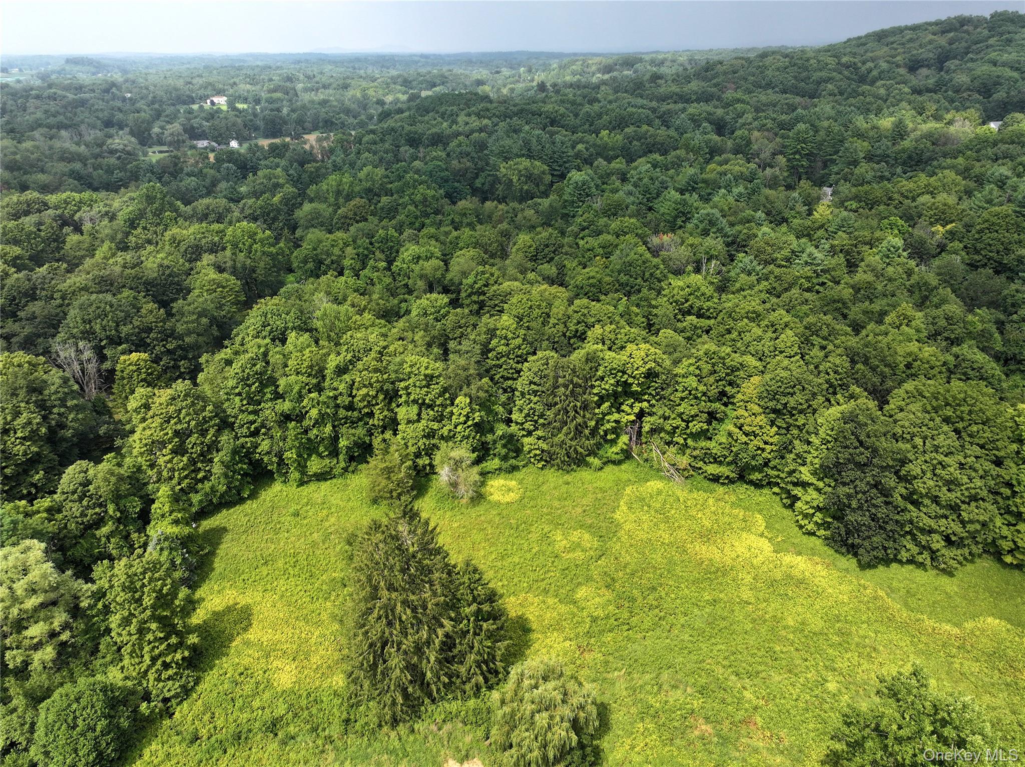 TBD Deer Run Road, Red Hook, NY 12571