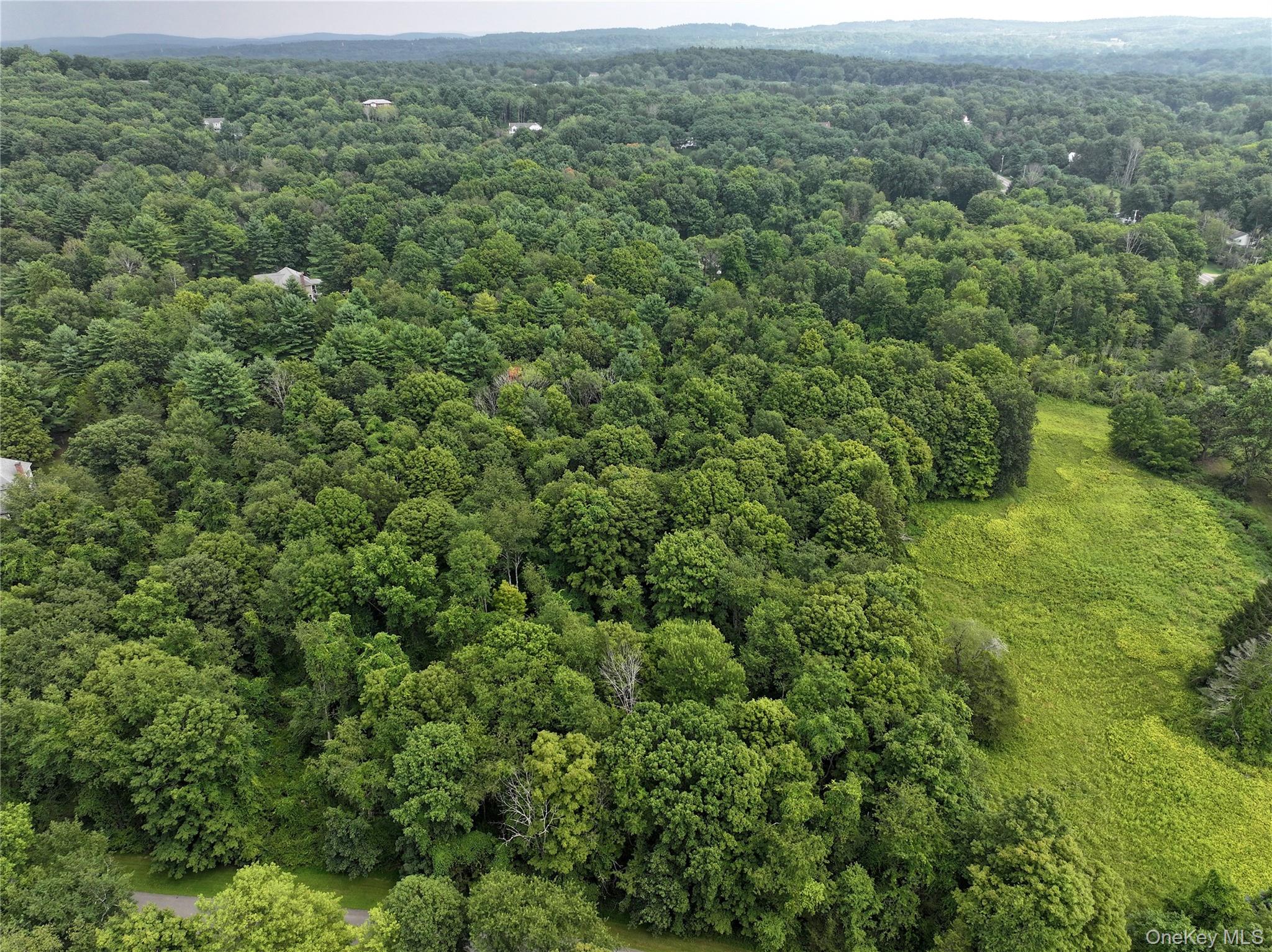 TBD Deer Run Road, Red Hook, NY 12571
