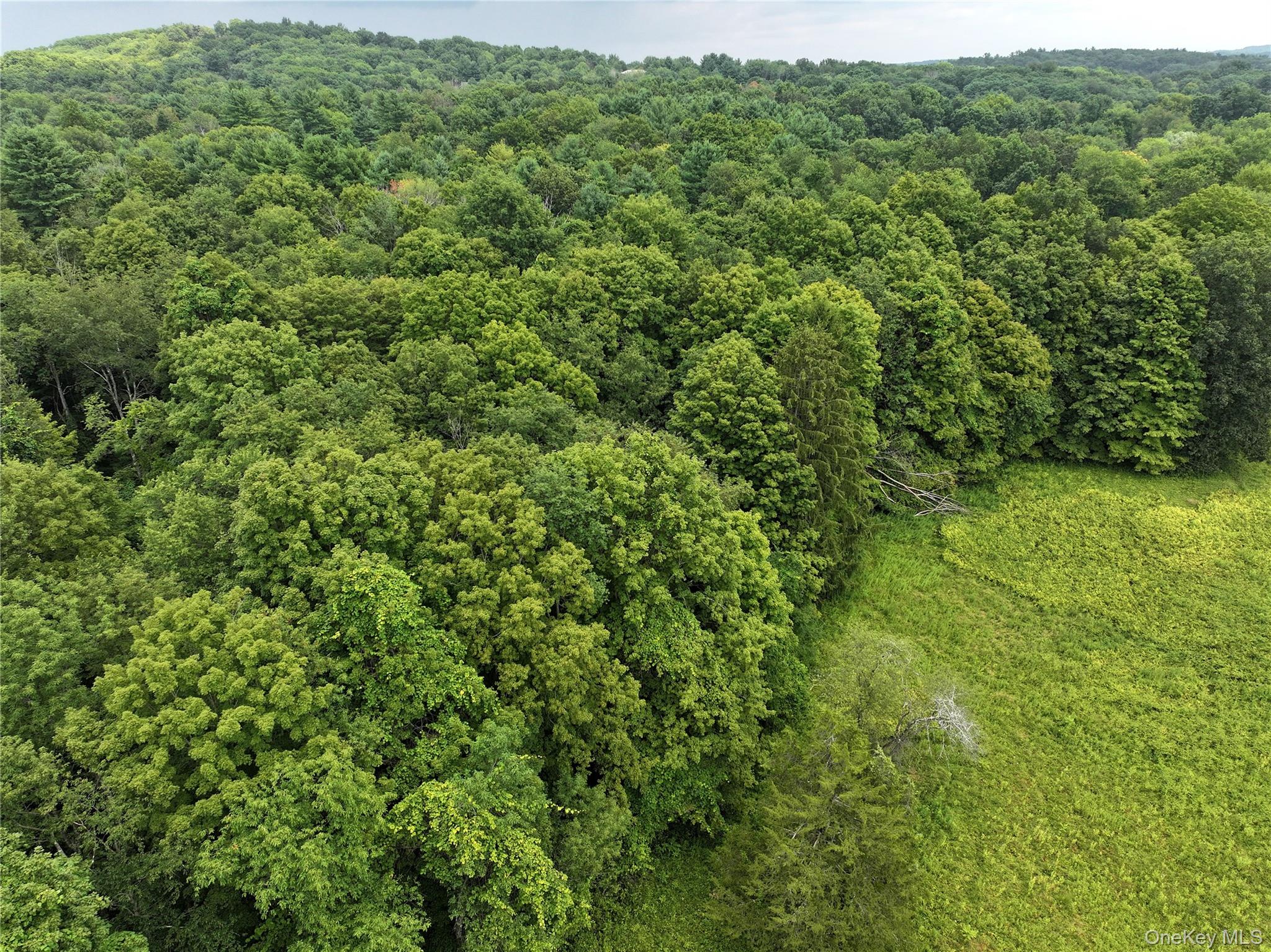 TBD Deer Run Road, Red Hook, NY 12571