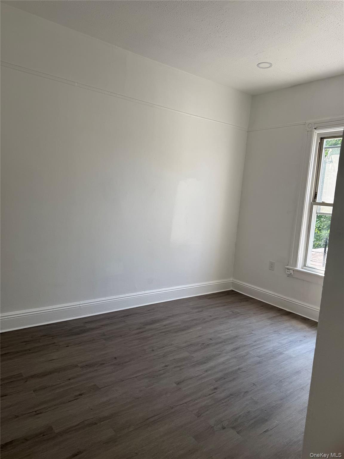 206 Elton Street, Brooklyn, NY 11208