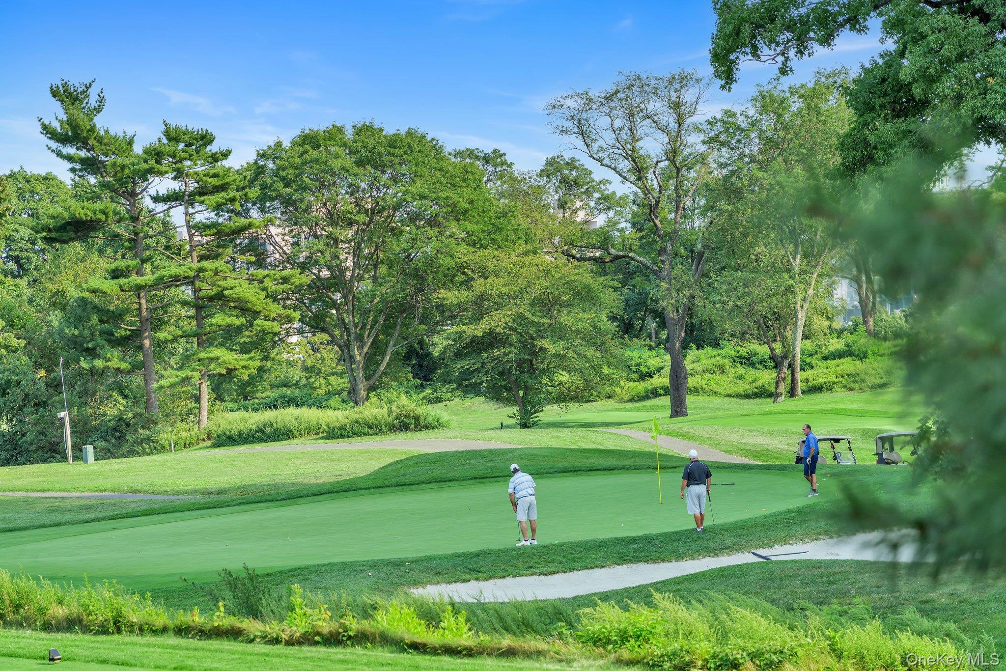 27010 Grand Central Parkway # 25O, Floral Park, NY 11005