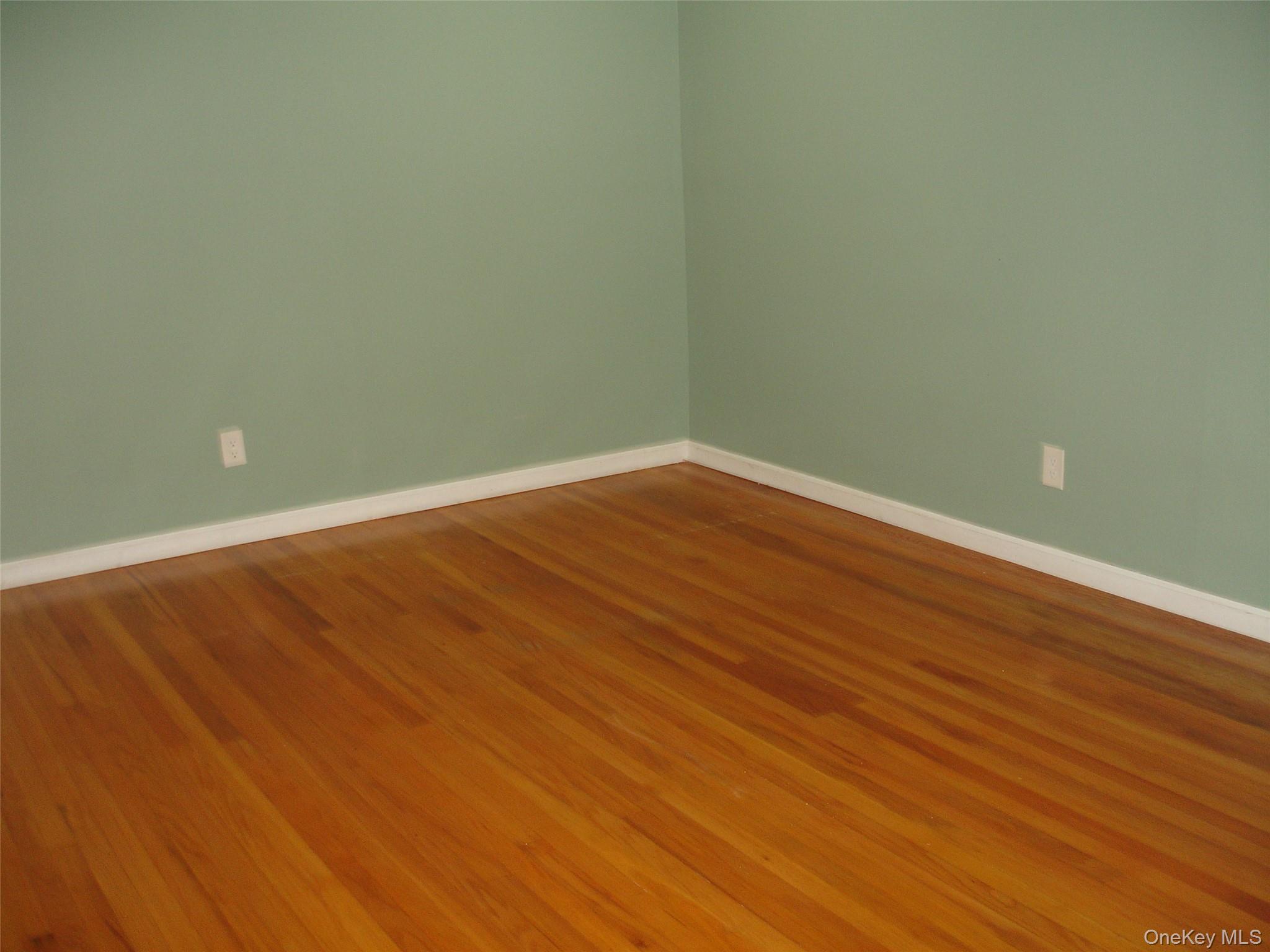 253 Frederick Avenue, Floral Park, NY 11001