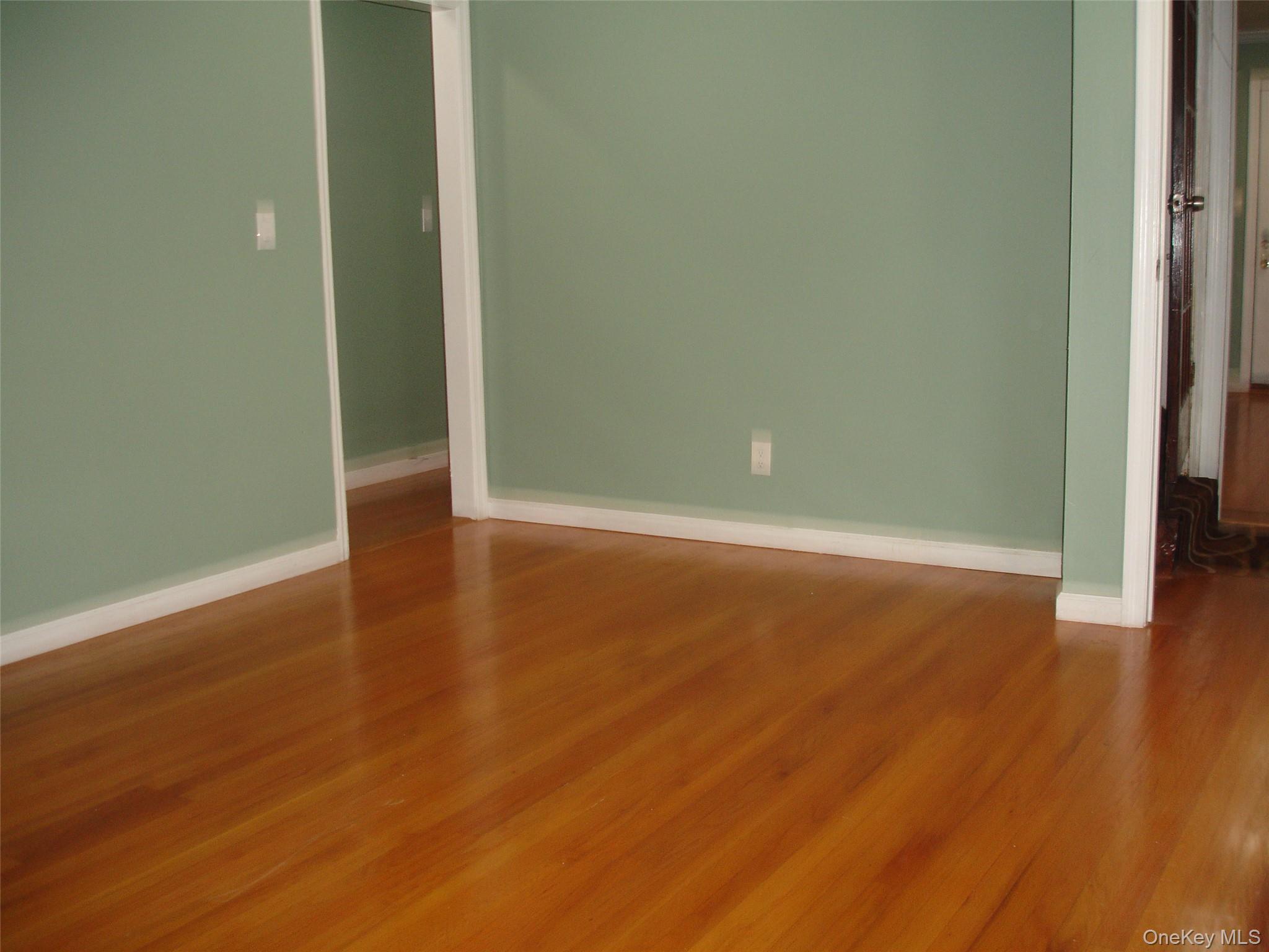 253 Frederick Avenue, Floral Park, NY 11001