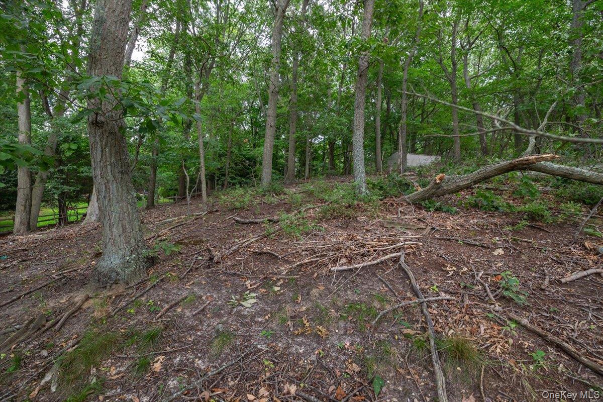 281 Kohr Road, Kings Park, NY 11754