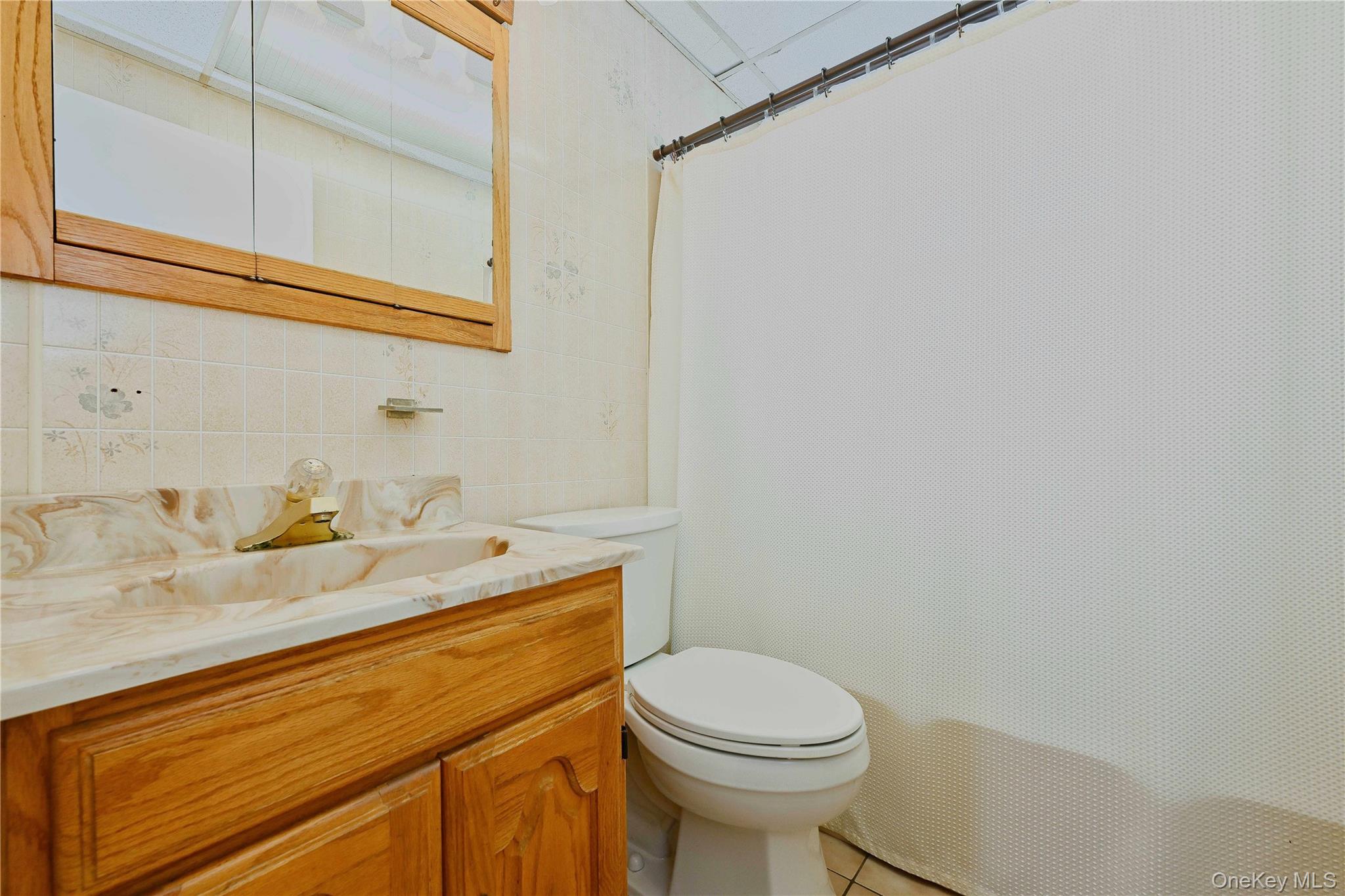 177 9th Street, Bethpage, NY 11714