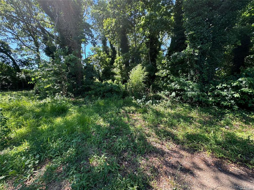 215 Cortland Street, Copiague, NY 11726