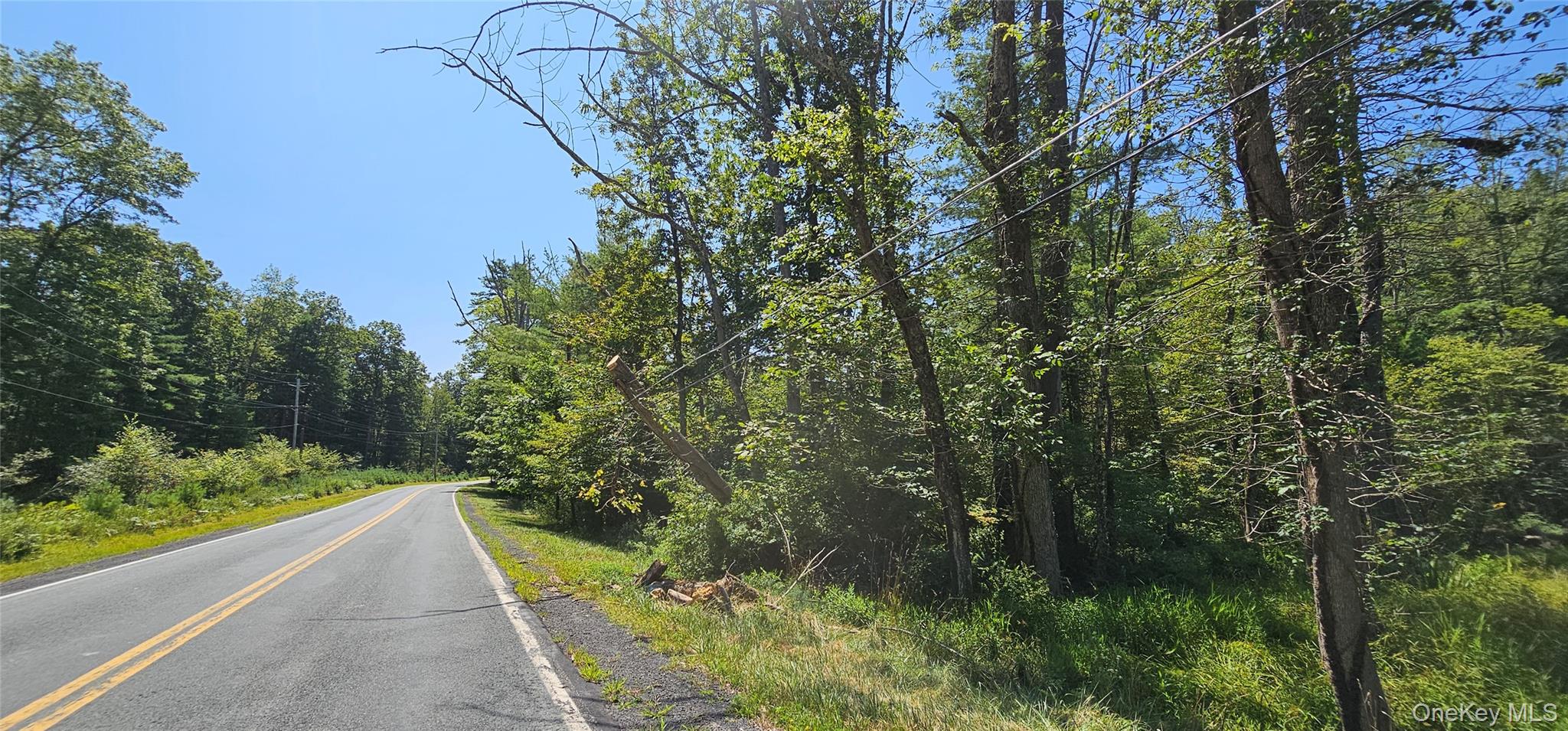 Lot 50 Deep Hollow Hill Road, Narrowsburg, NY 12764