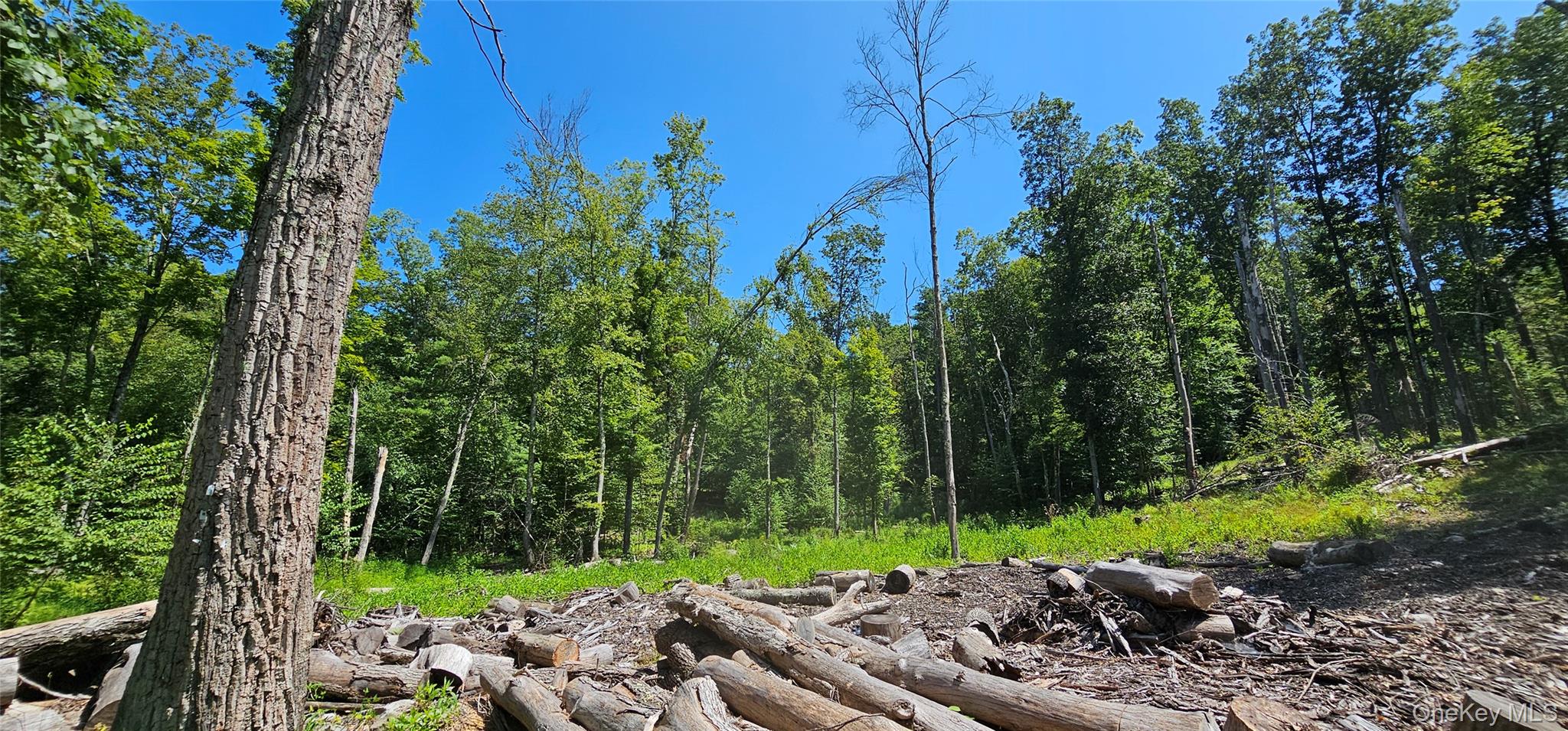 Lot 50 Deep Hollow Hill Road, Narrowsburg, NY 12764