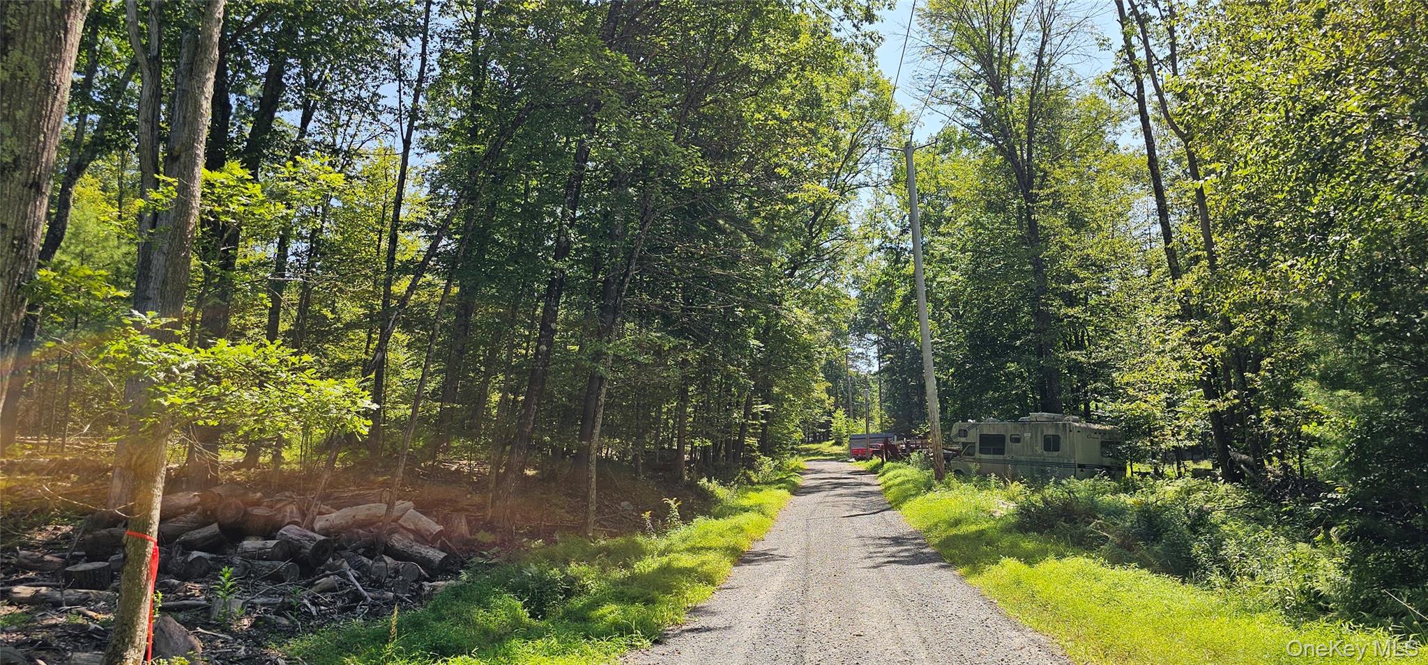 Lot 50 Deep Hollow Hill Road, Narrowsburg, NY 12764