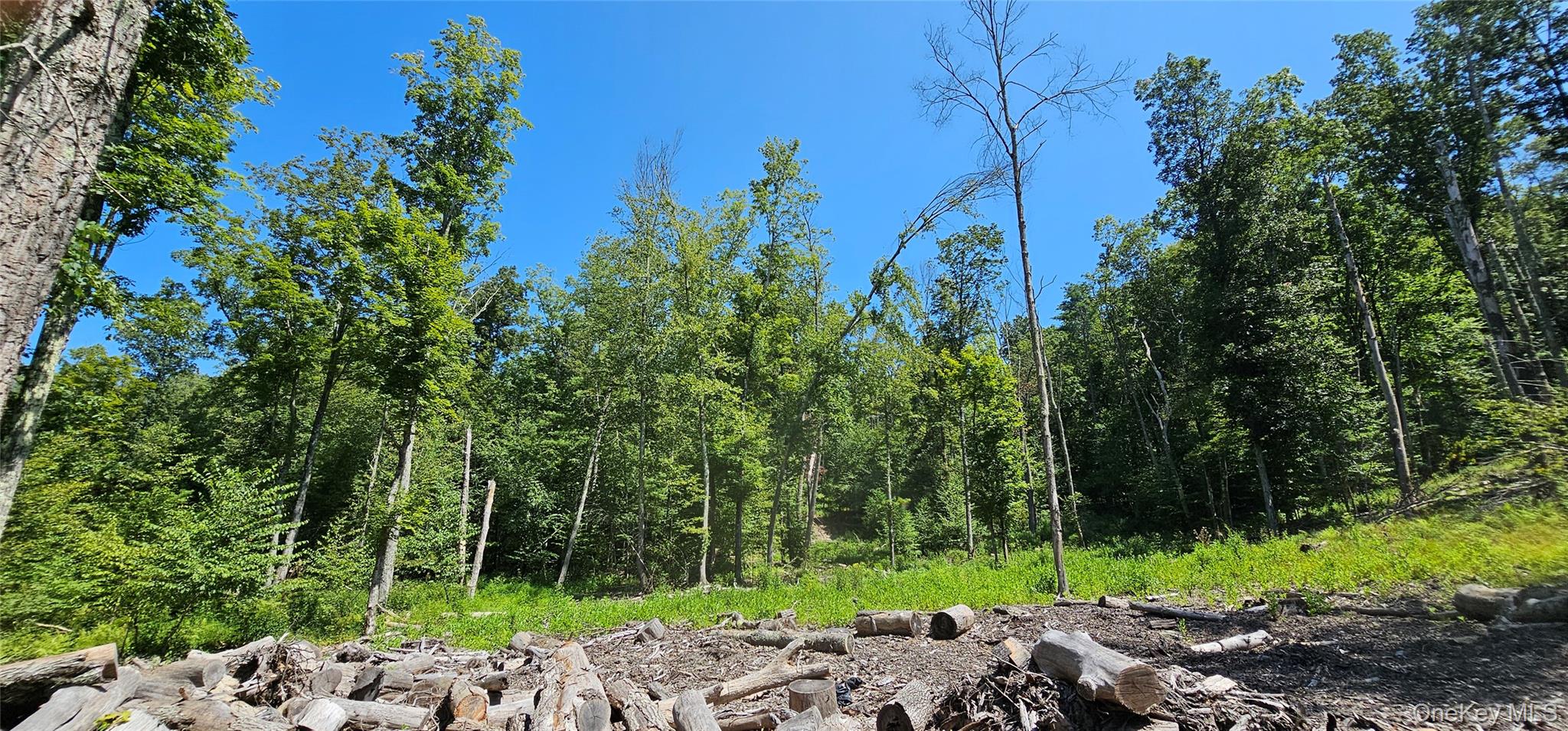 Lot 50 Deep Hollow Hill Road, Narrowsburg, NY 12764