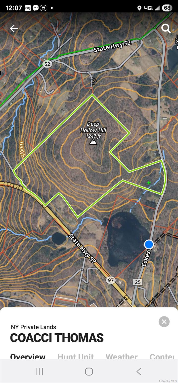 Lot 50 Deep Hollow Hill Road, Narrowsburg, NY 12764