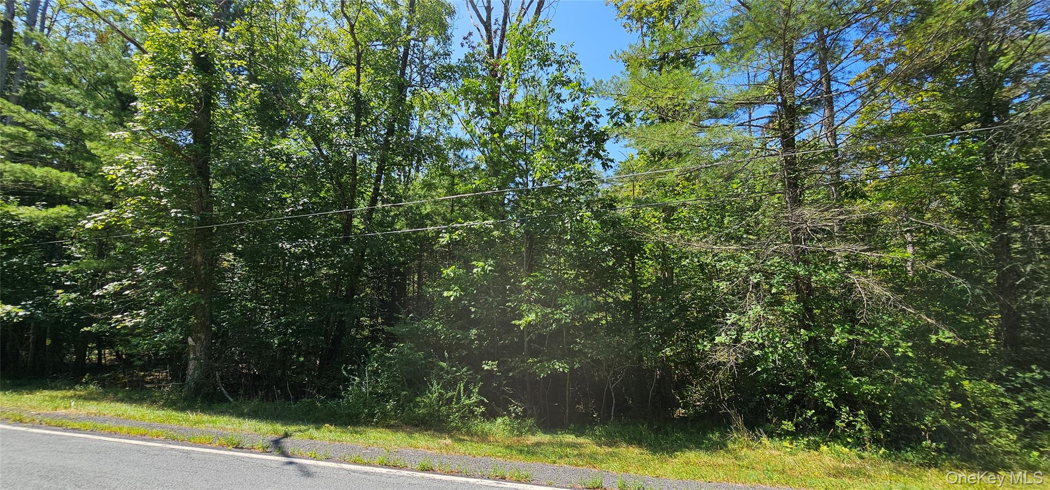 Lot 50 Deep Hollow Hill Road, Narrowsburg, NY 12764