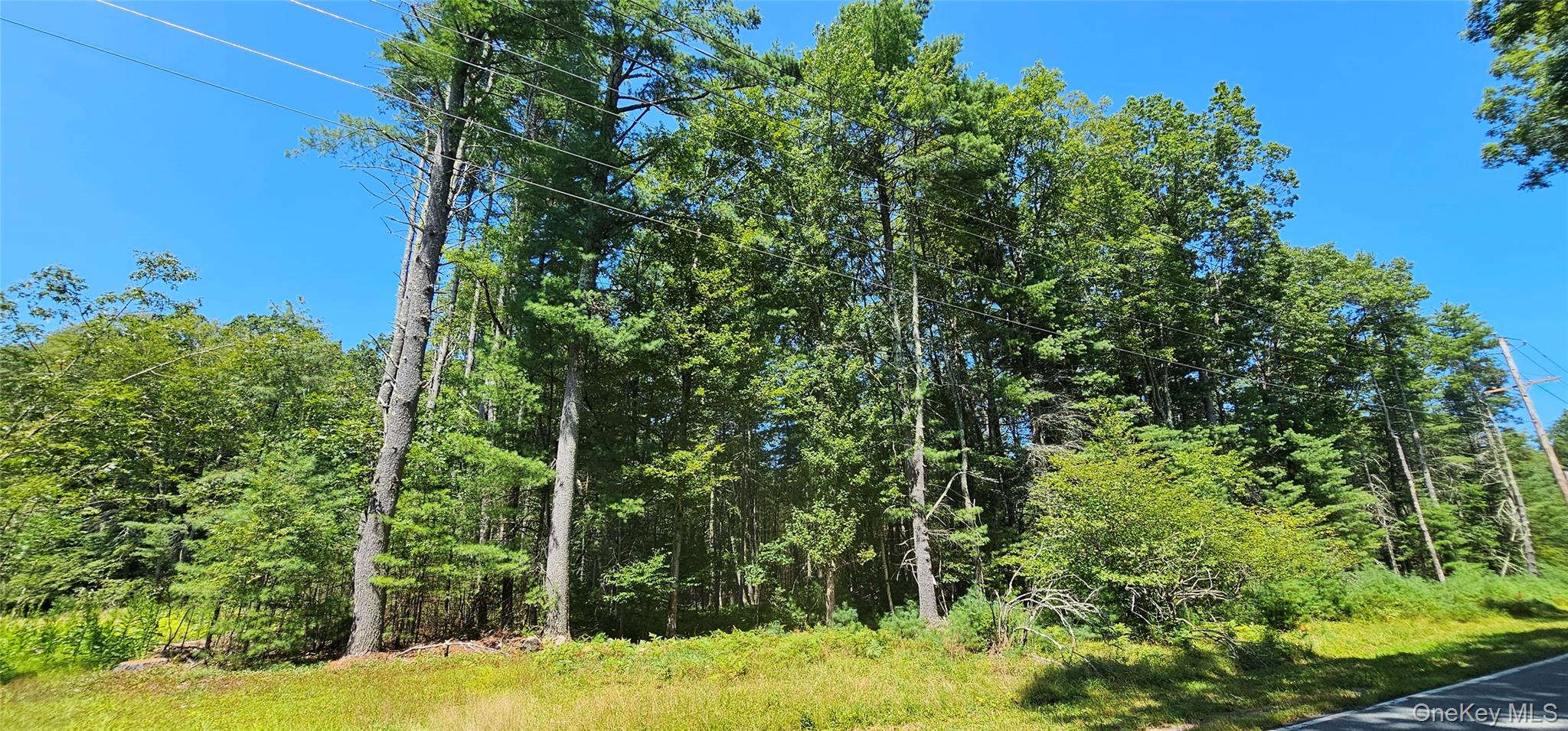 Lot 50 Deep Hollow Hill Road, Narrowsburg, NY 12764