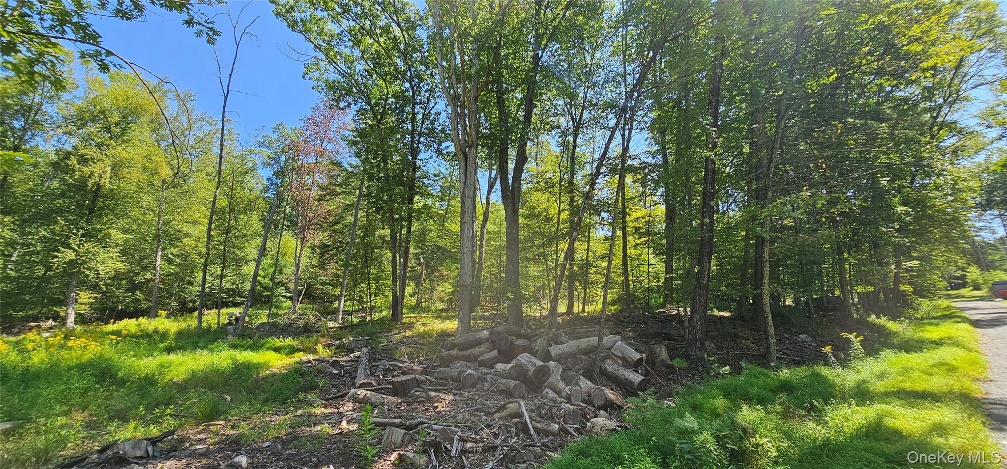 Lot 50 Deep Hollow Hill Road, Narrowsburg, NY 12764