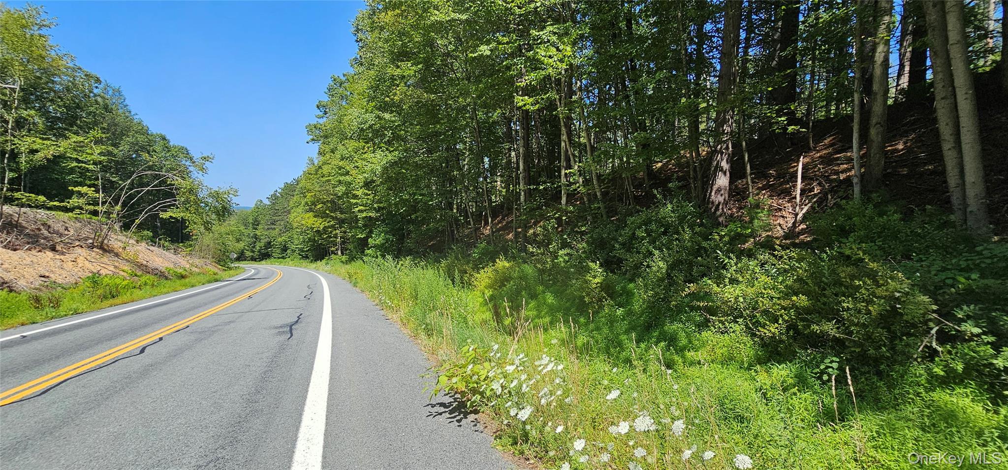 Lot 50 Deep Hollow Hill Road, Narrowsburg, NY 12764
