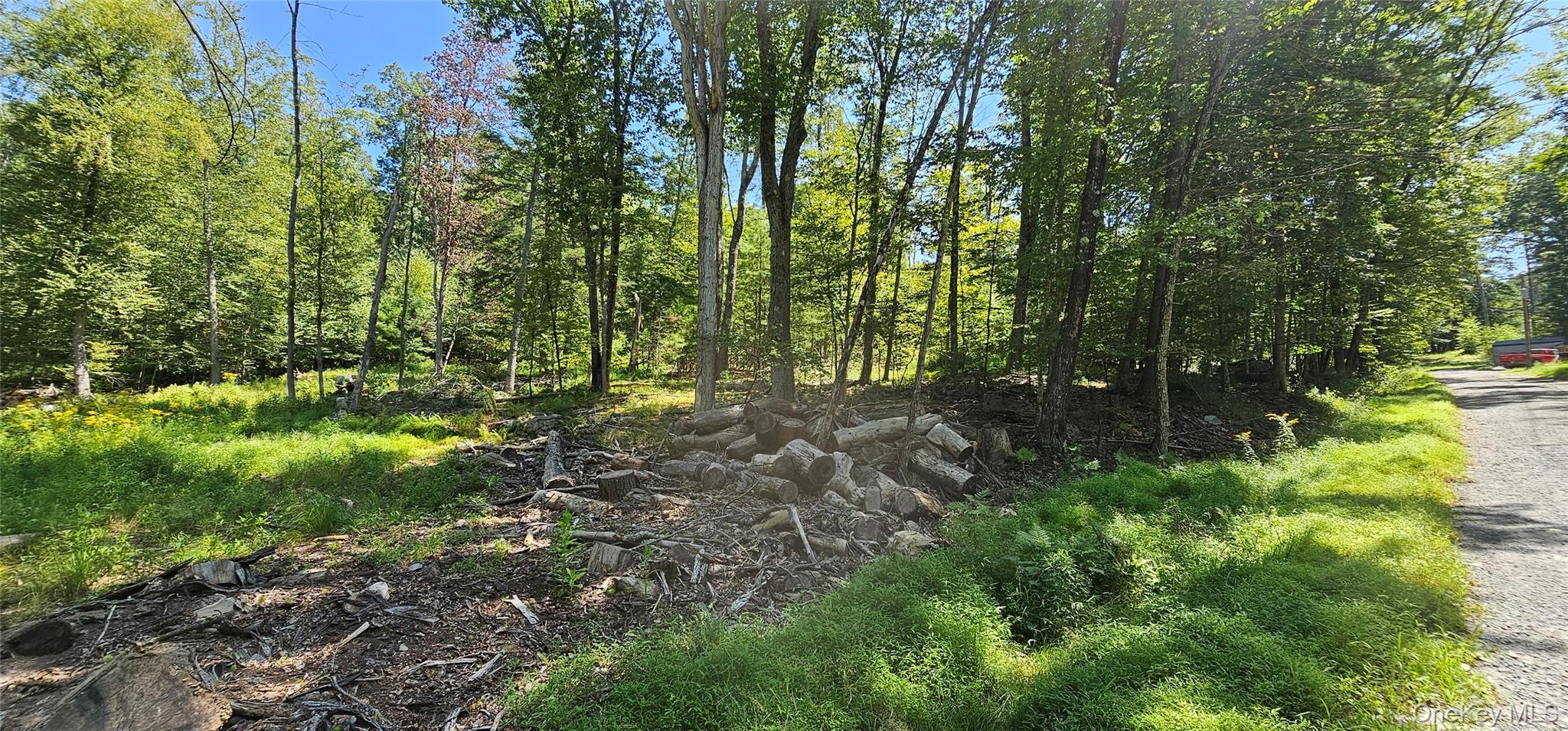 Lot 50 Deep Hollow Hill Road, Narrowsburg, NY 12764