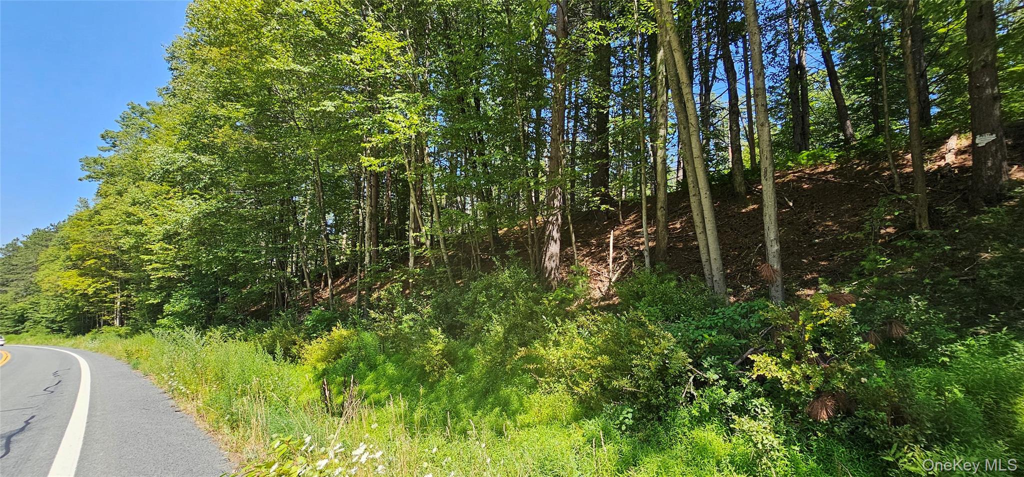 Lot 50 Deep Hollow Hill Road, Narrowsburg, NY 12764