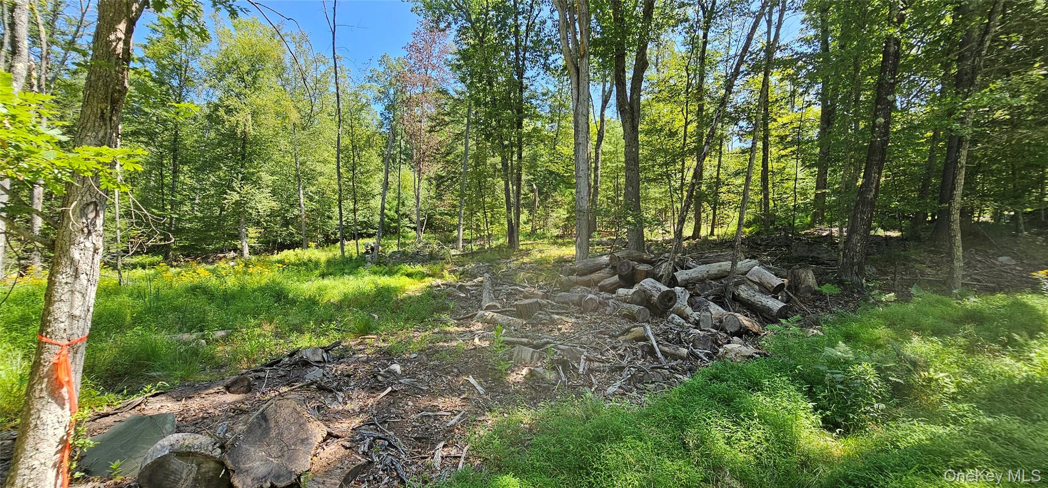 Lot 50 Deep Hollow Hill Road, Narrowsburg, NY 12764