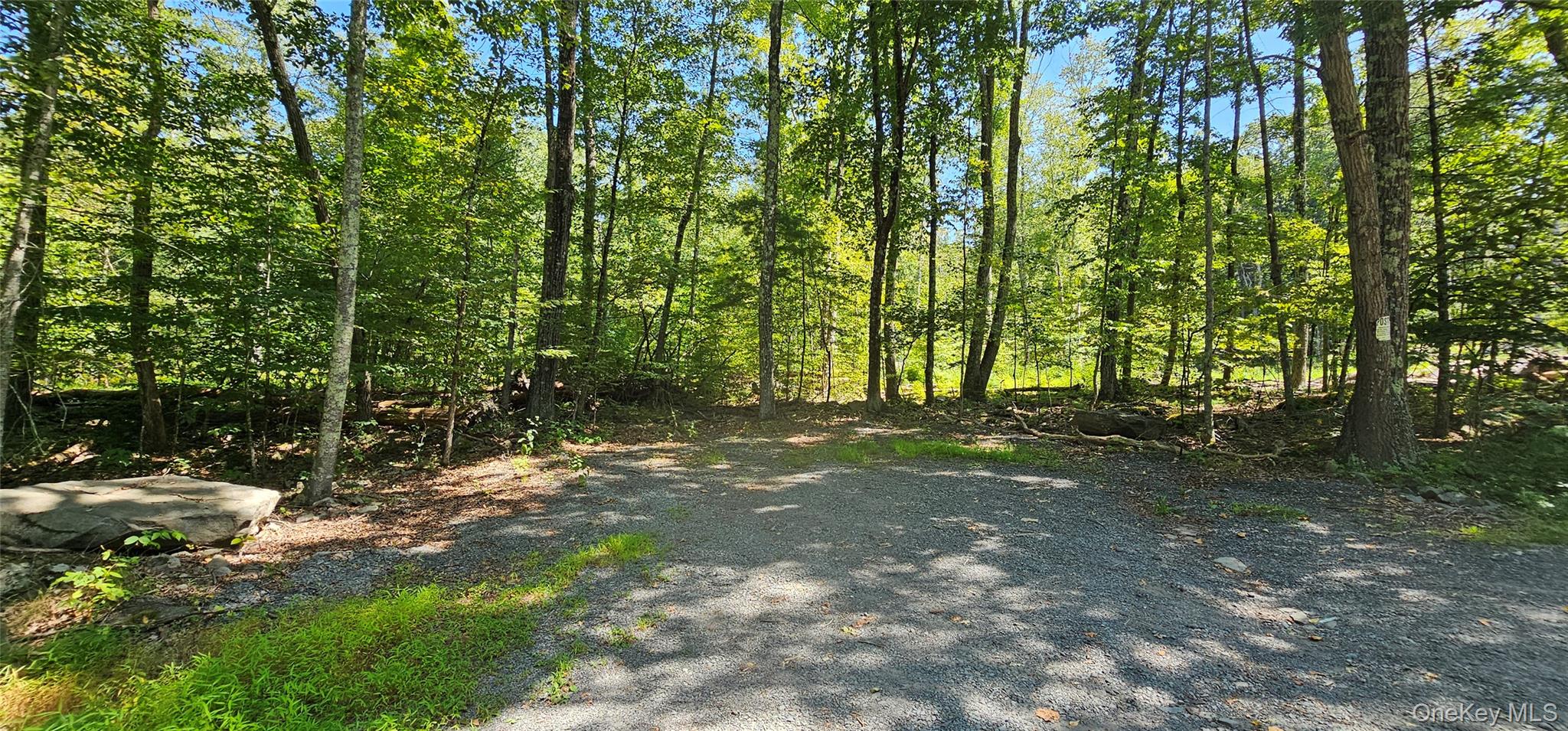 Lot 50 Deep Hollow Hill Road, Narrowsburg, NY 12764