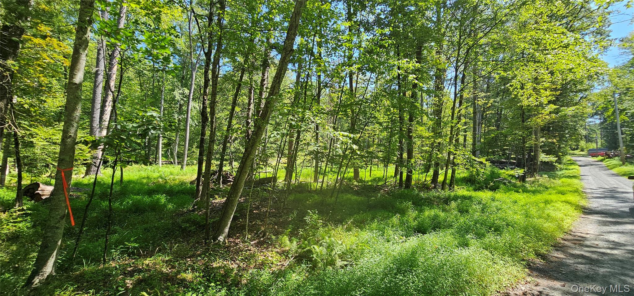 Lot 50 Deep Hollow Hill Road, Narrowsburg, NY 12764