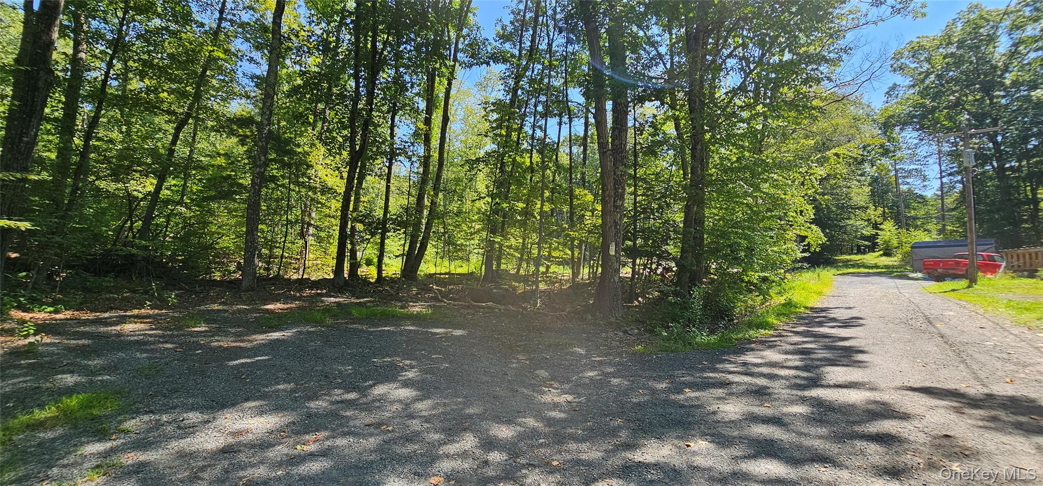 Lot 50 Deep Hollow Hill Road, Narrowsburg, NY 12764