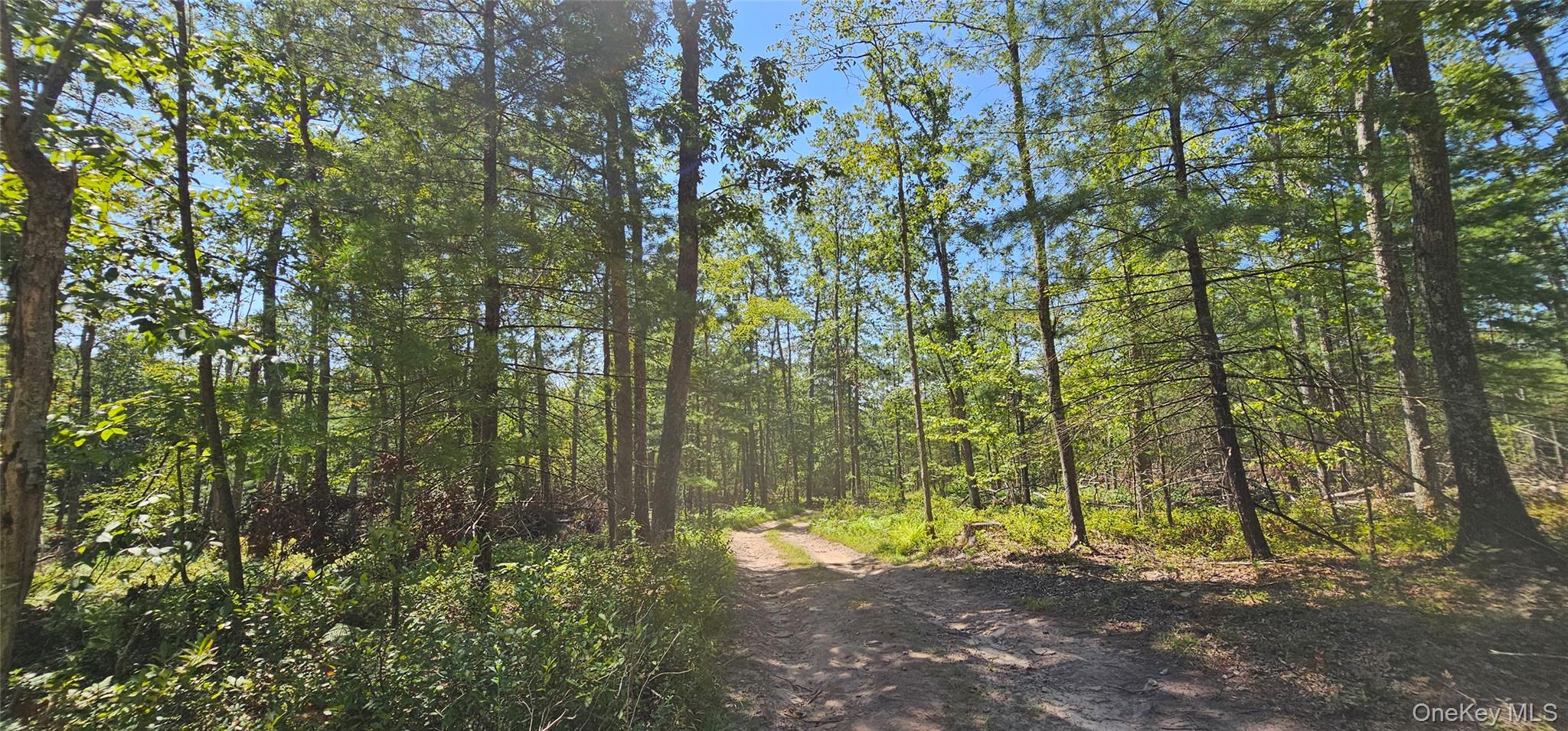 Lot 8.1 Eckes Road, Narrowsburg, NY 12764