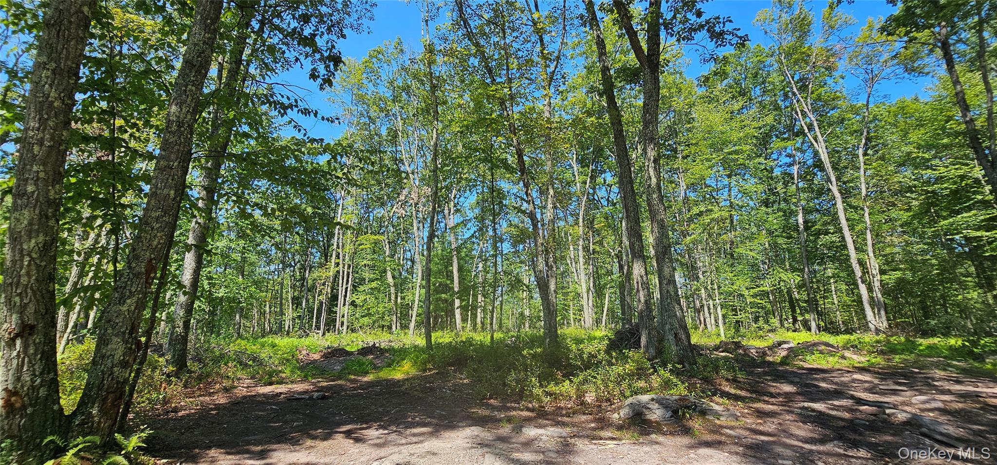 Lot 8.1 Eckes Road, Narrowsburg, NY 12764