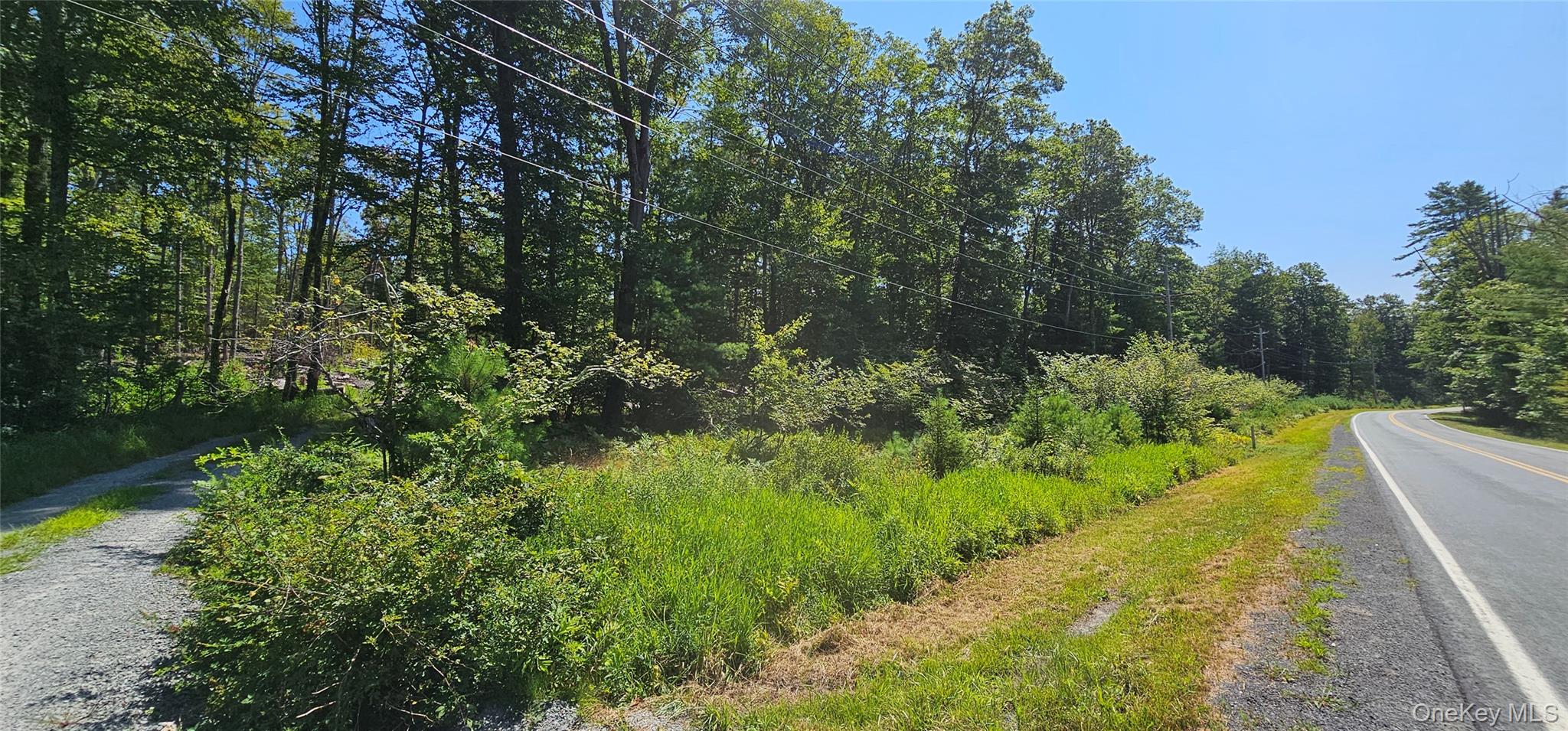 Lot 8.1 Eckes Road, Narrowsburg, NY 12764