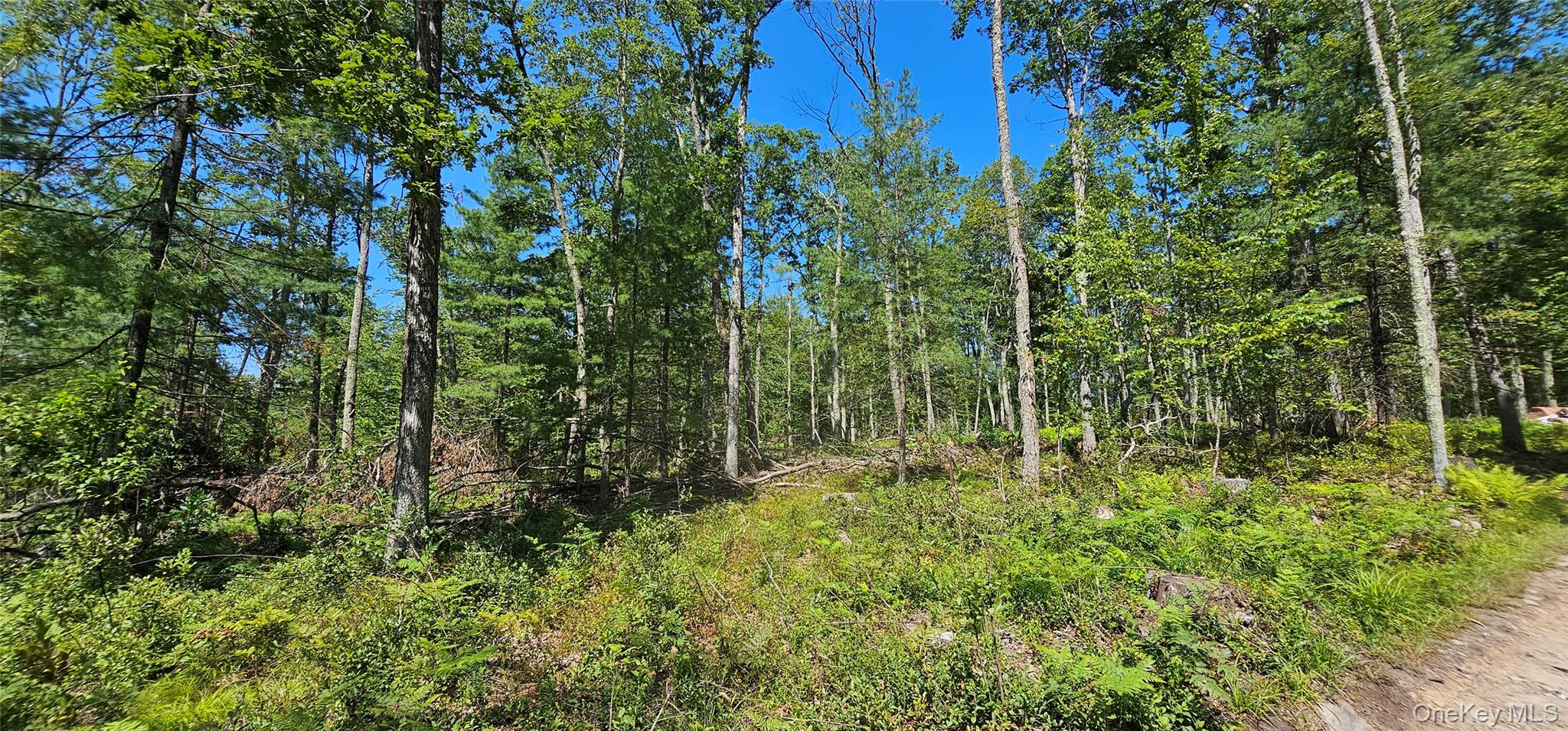 Lot 8.1 Eckes Road, Narrowsburg, NY 12764