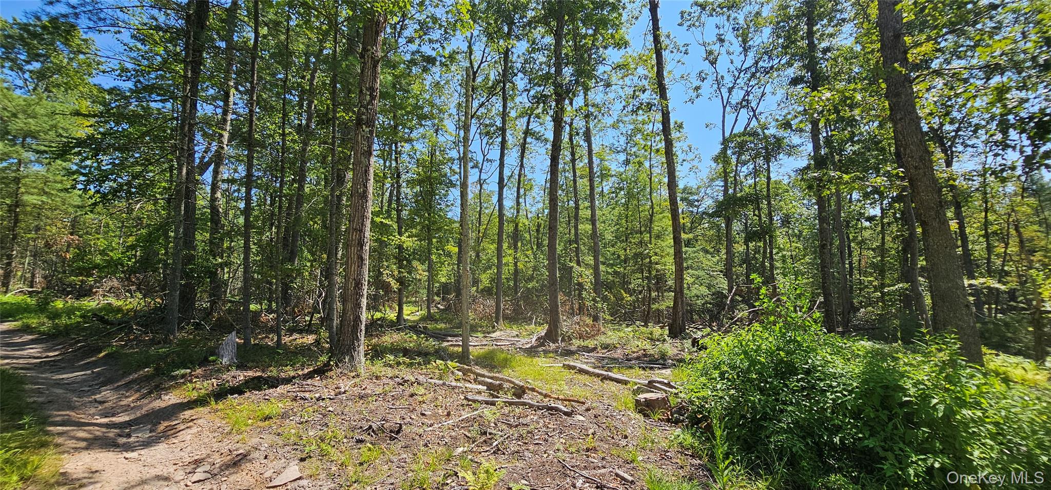 Lot 8.1 Eckes Road, Narrowsburg, NY 12764