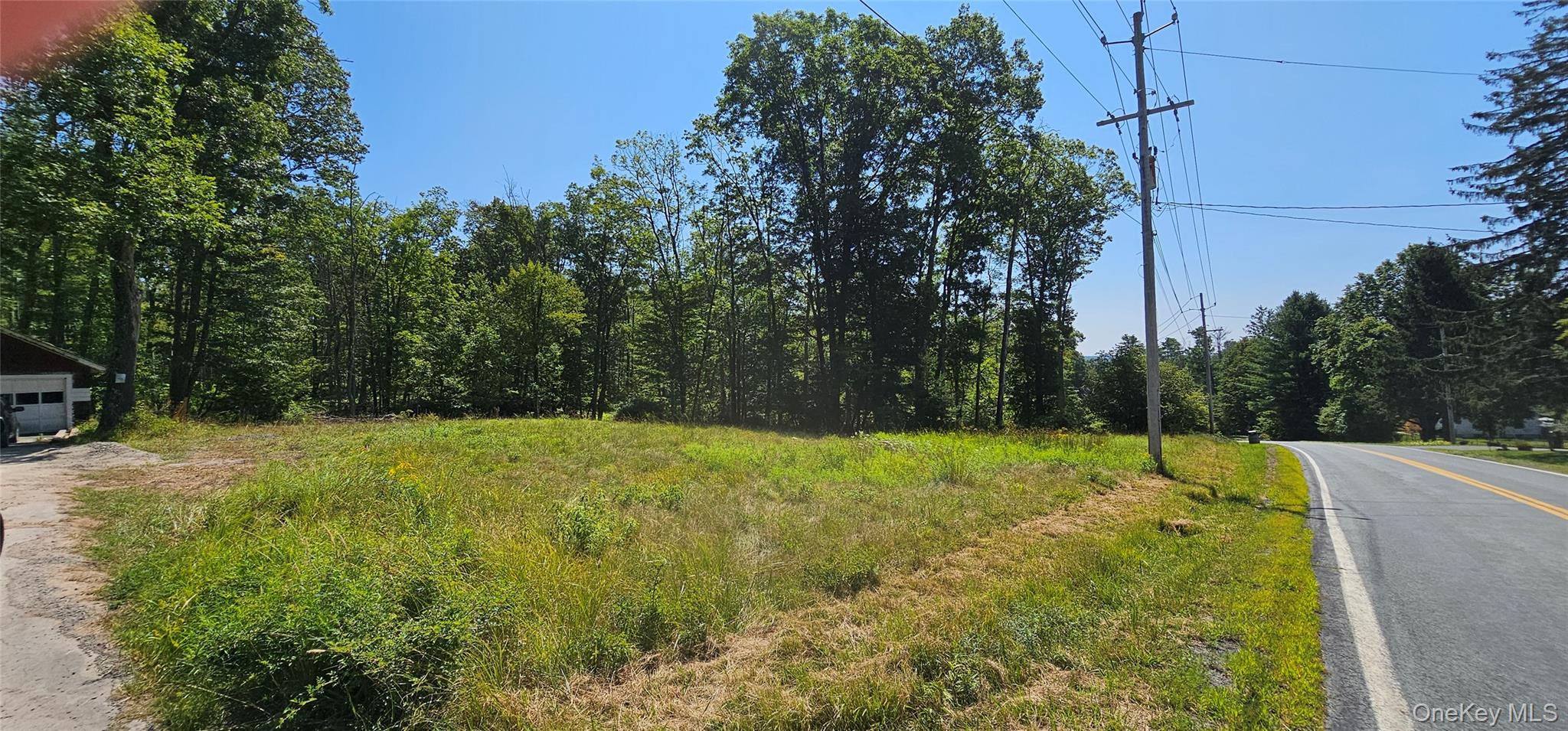 Lot 8.1 Eckes Road, Narrowsburg, NY 12764