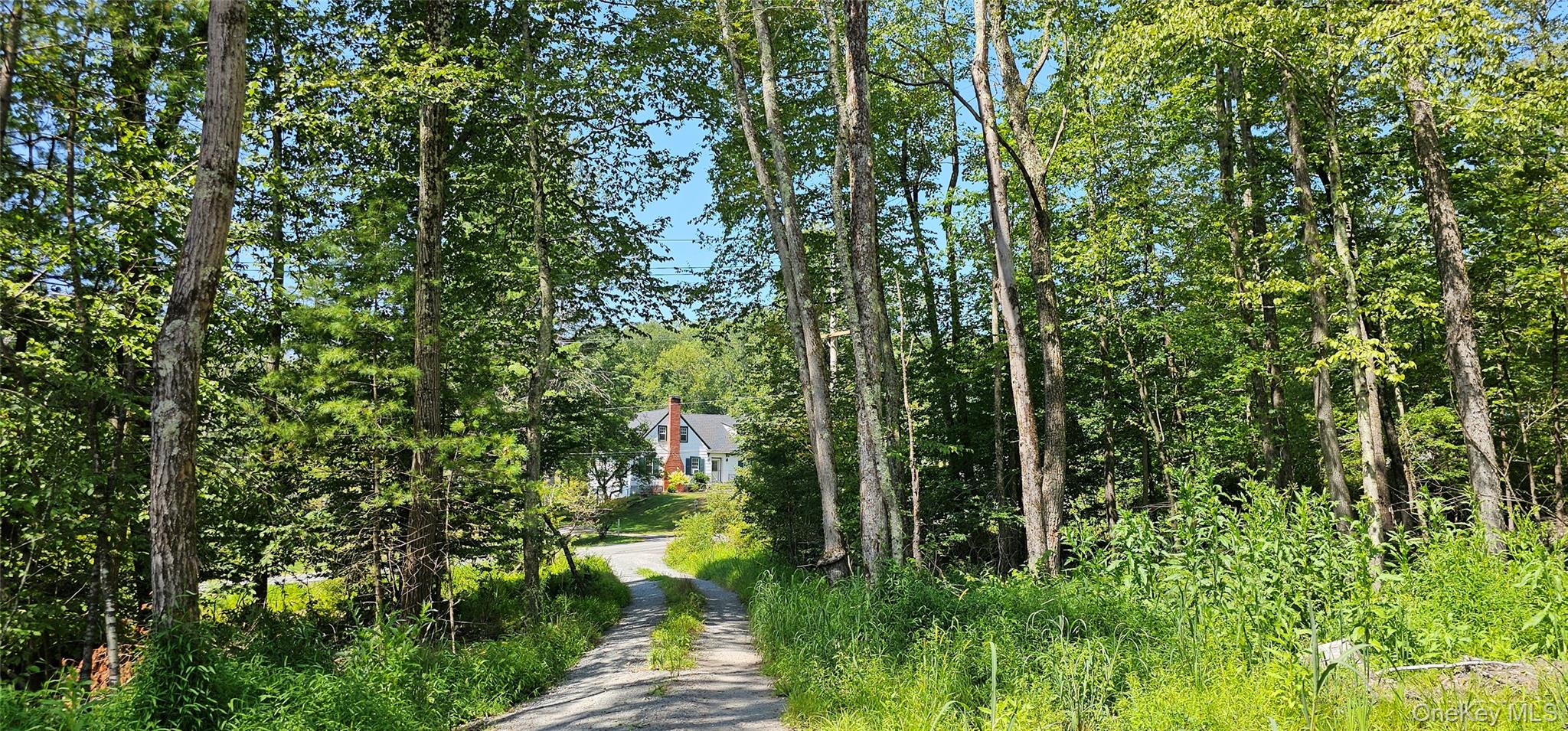 Lot 8.1 Eckes Road, Narrowsburg, NY 12764