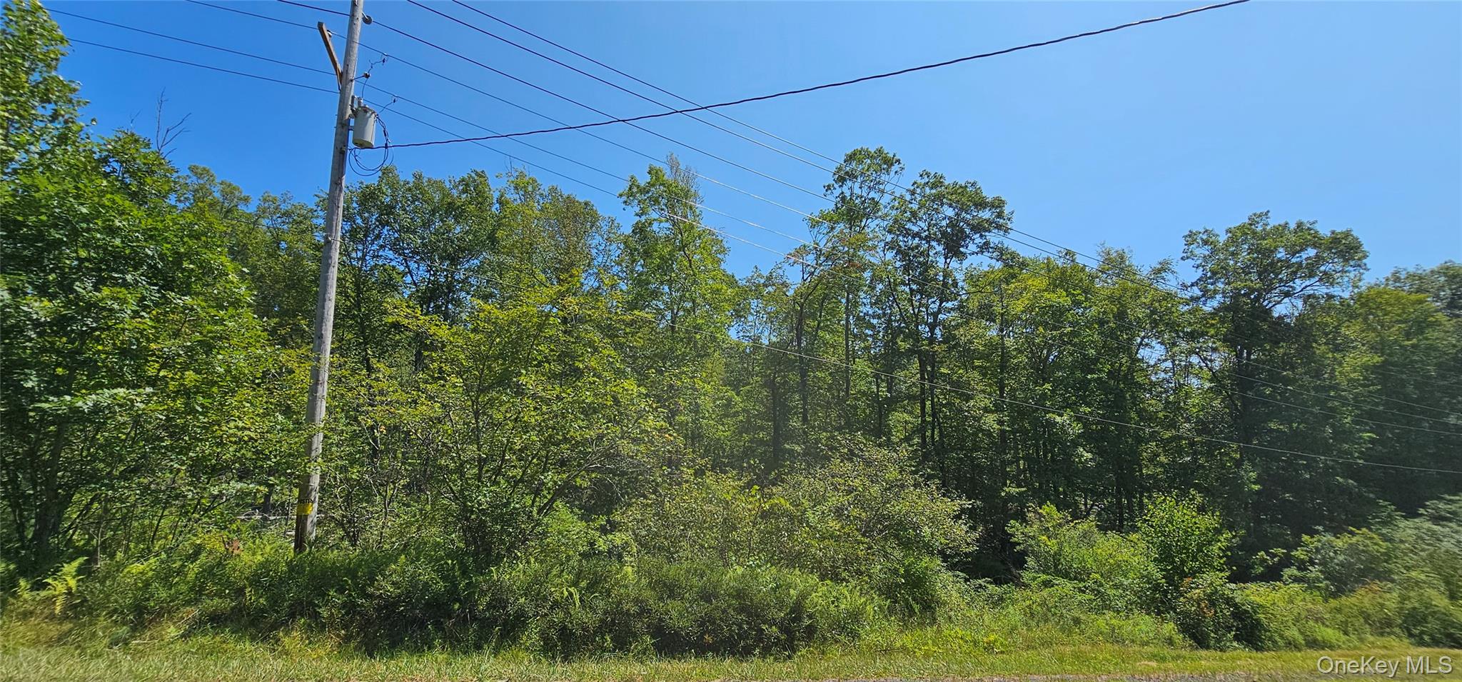 Lot 8.1 Eckes Road, Narrowsburg, NY 12764