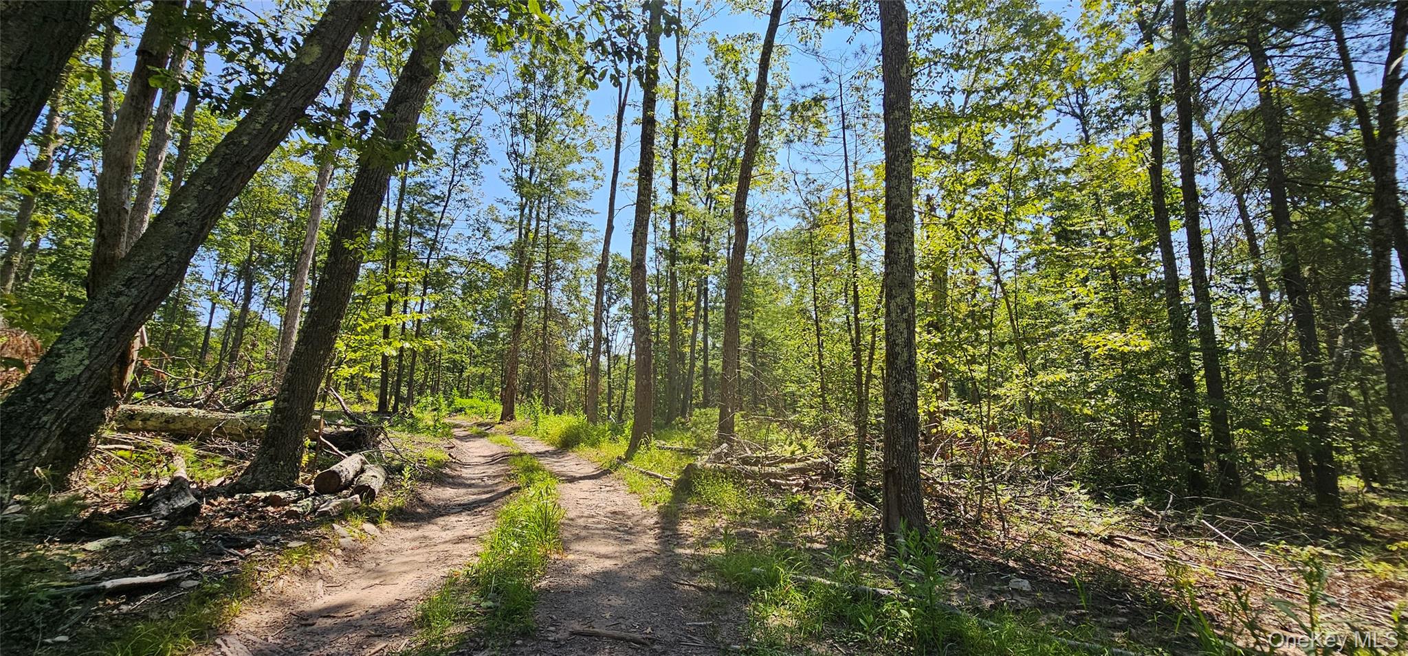 Lot 8.1 Eckes Road, Narrowsburg, NY 12764