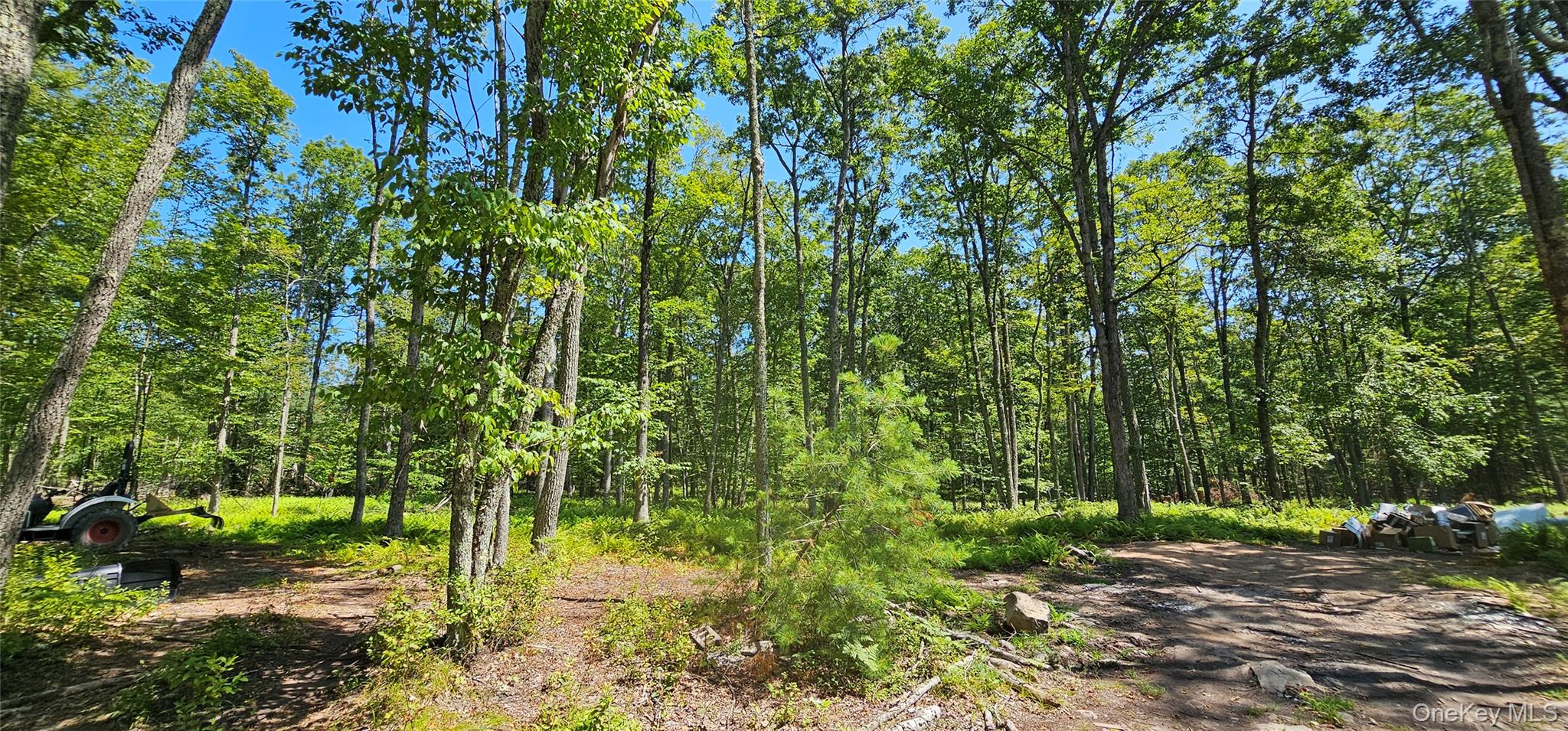 Lot 8.1 Eckes Road, Narrowsburg, NY 12764