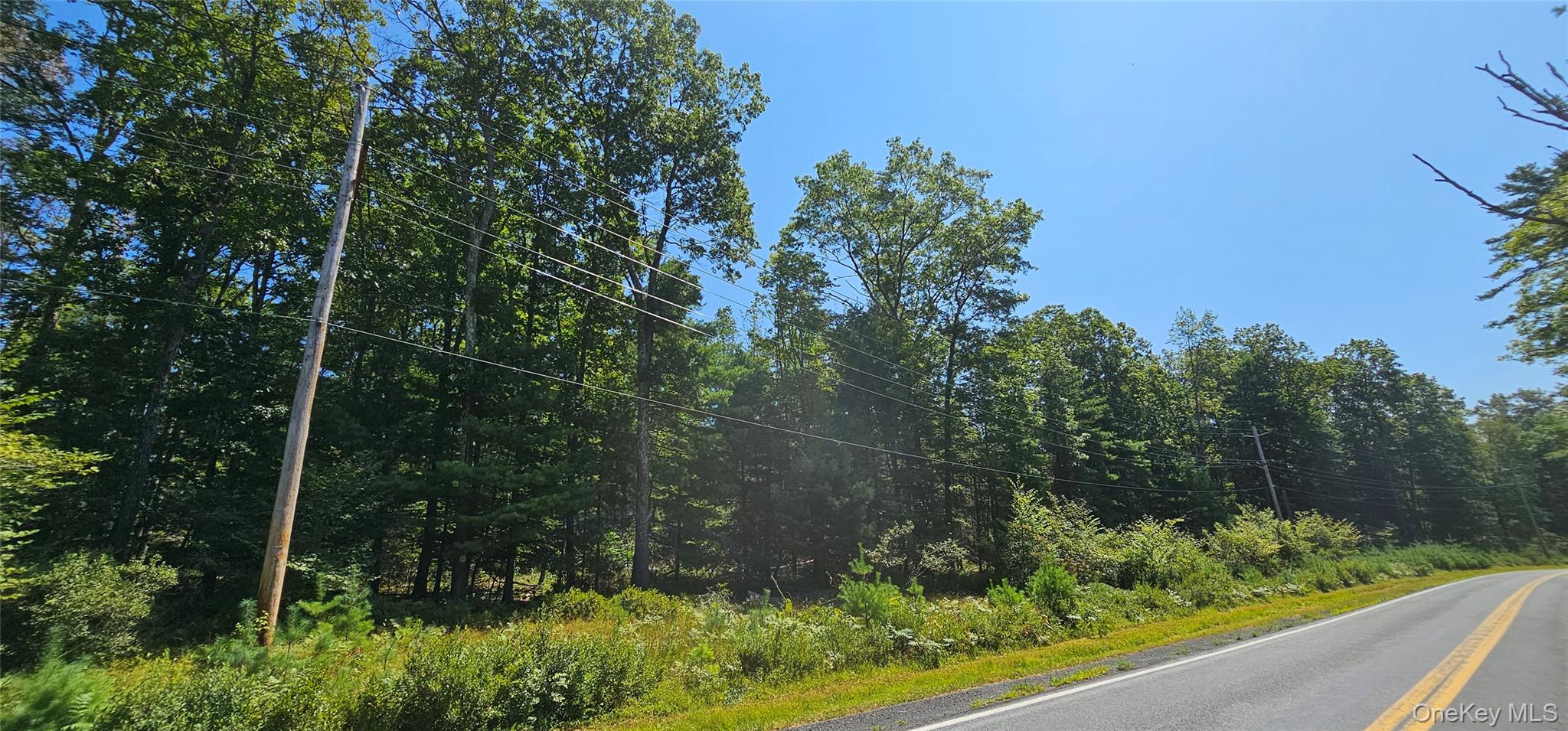 Lot 8.1 Eckes Road, Narrowsburg, NY 12764