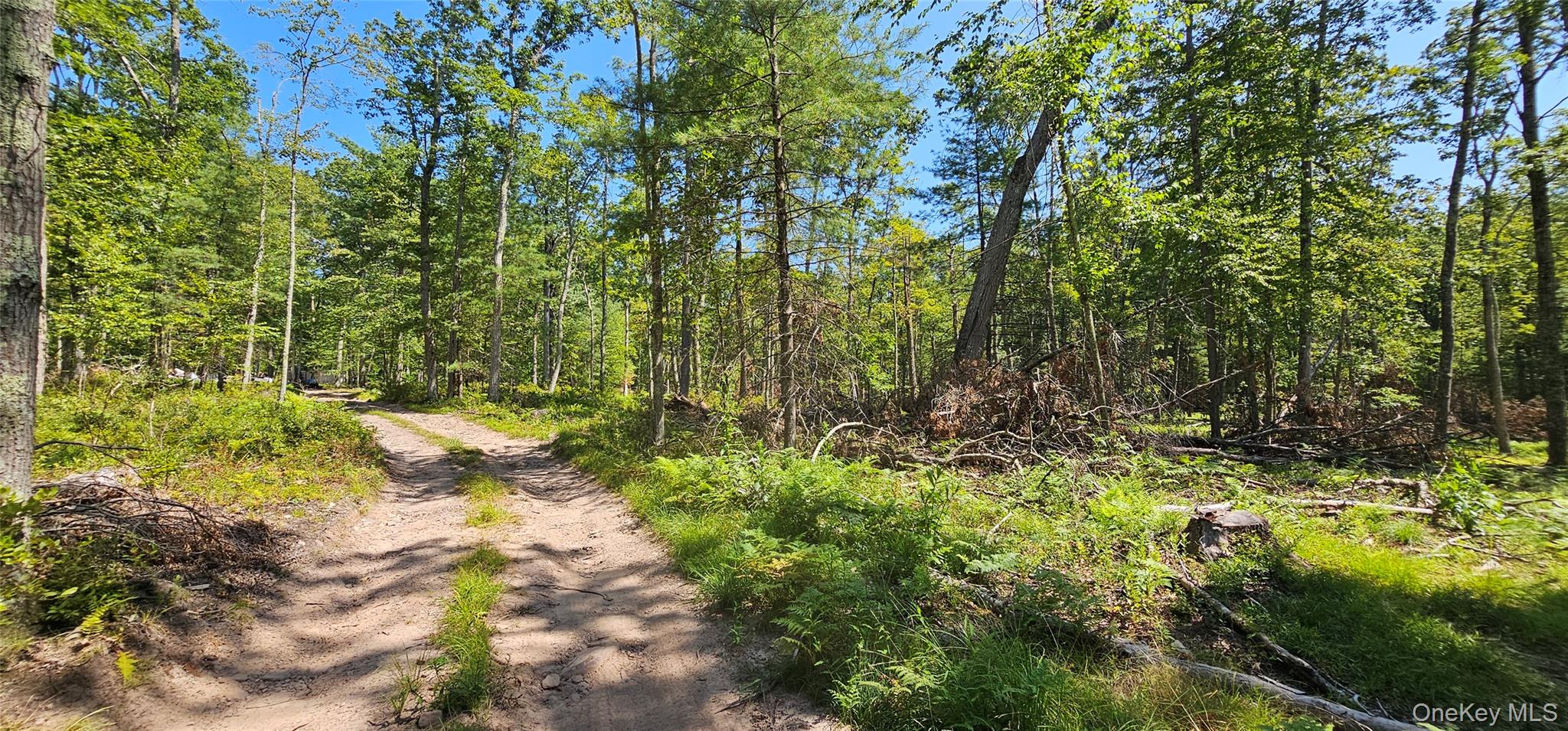 Lot 8.1 Eckes Road, Narrowsburg, NY 12764