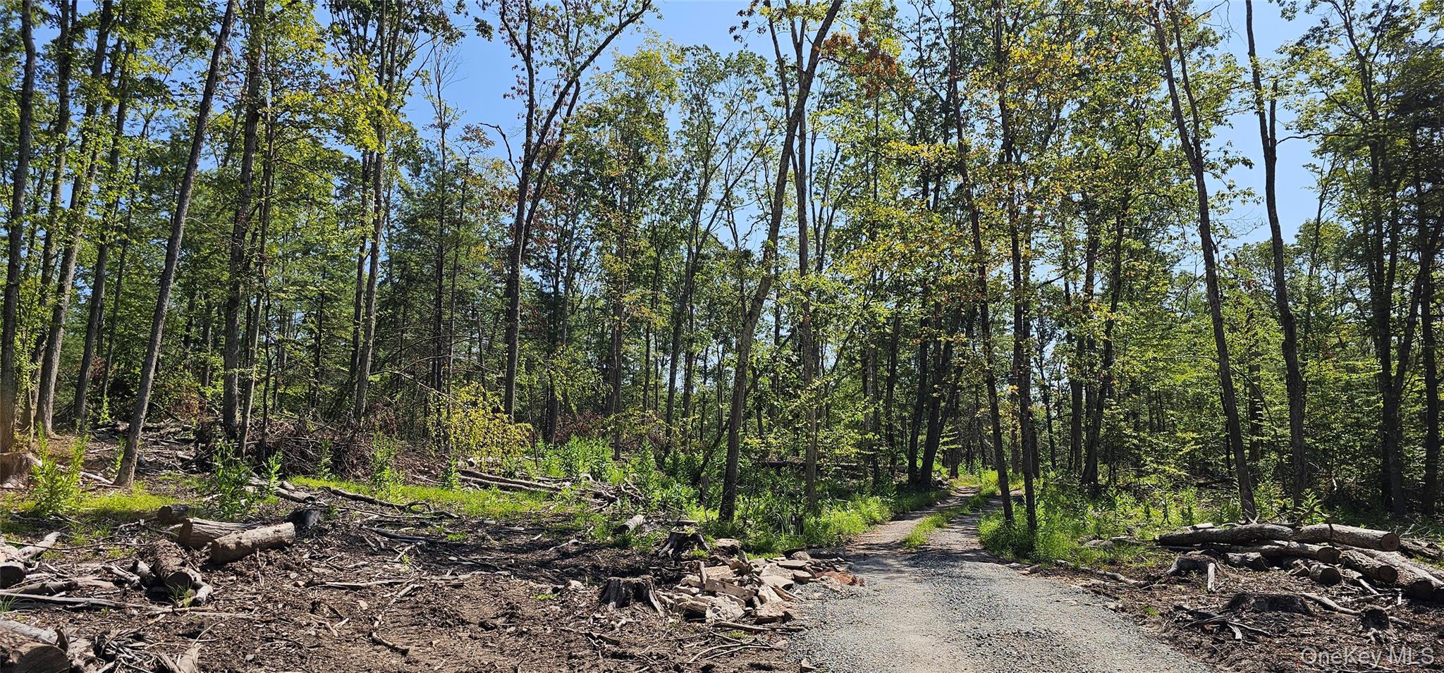 Lot 8.1 Eckes Road, Narrowsburg, NY 12764