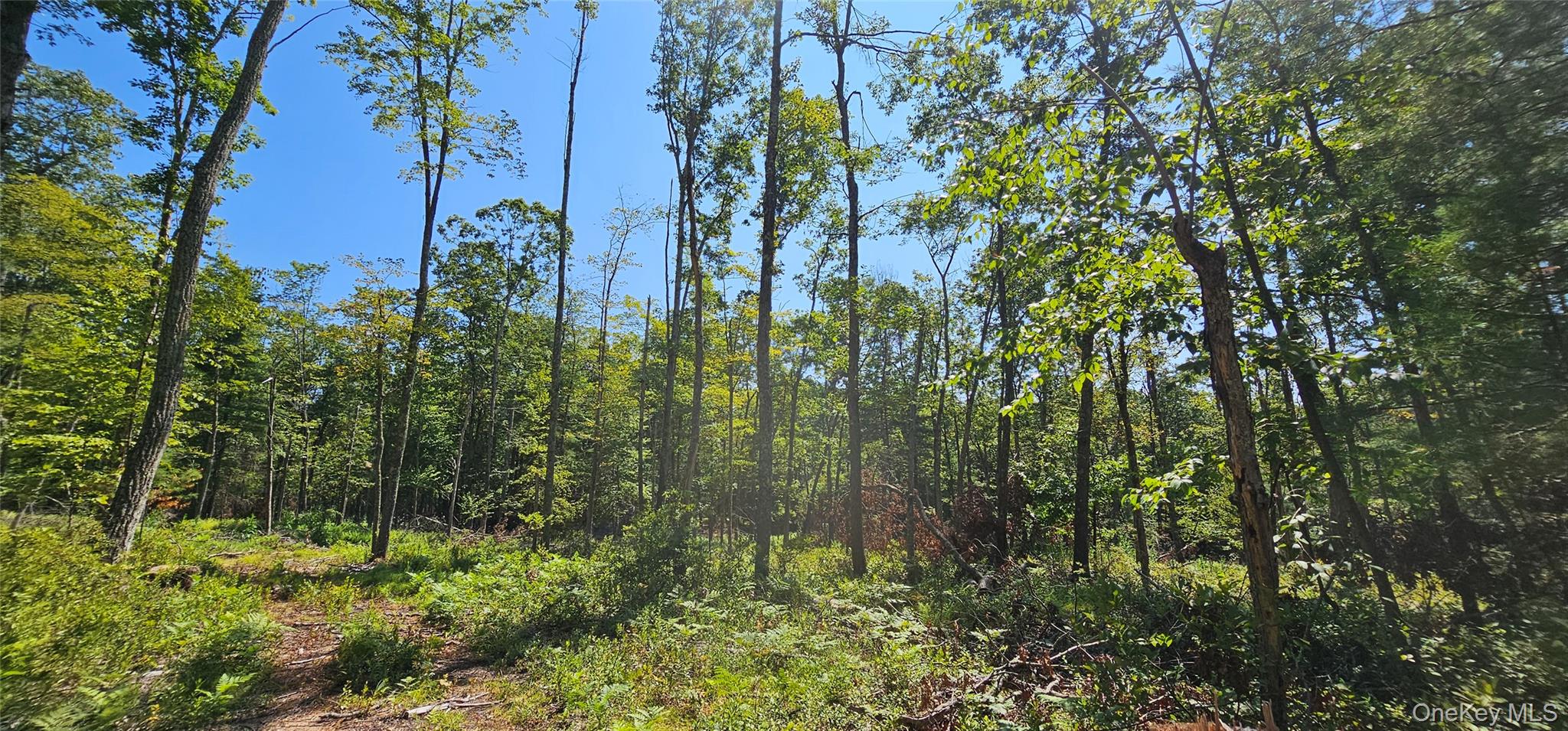 Lot 8.1 Eckes Road, Narrowsburg, NY 12764