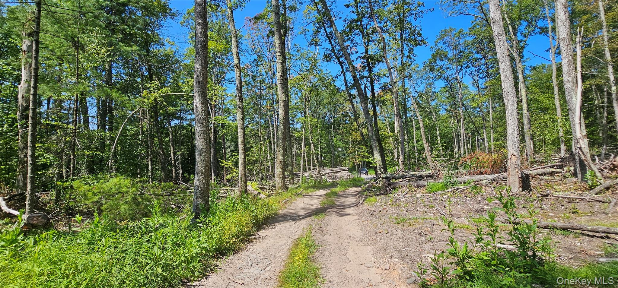 Lot 8.1 Eckes Road, Narrowsburg, NY 12764