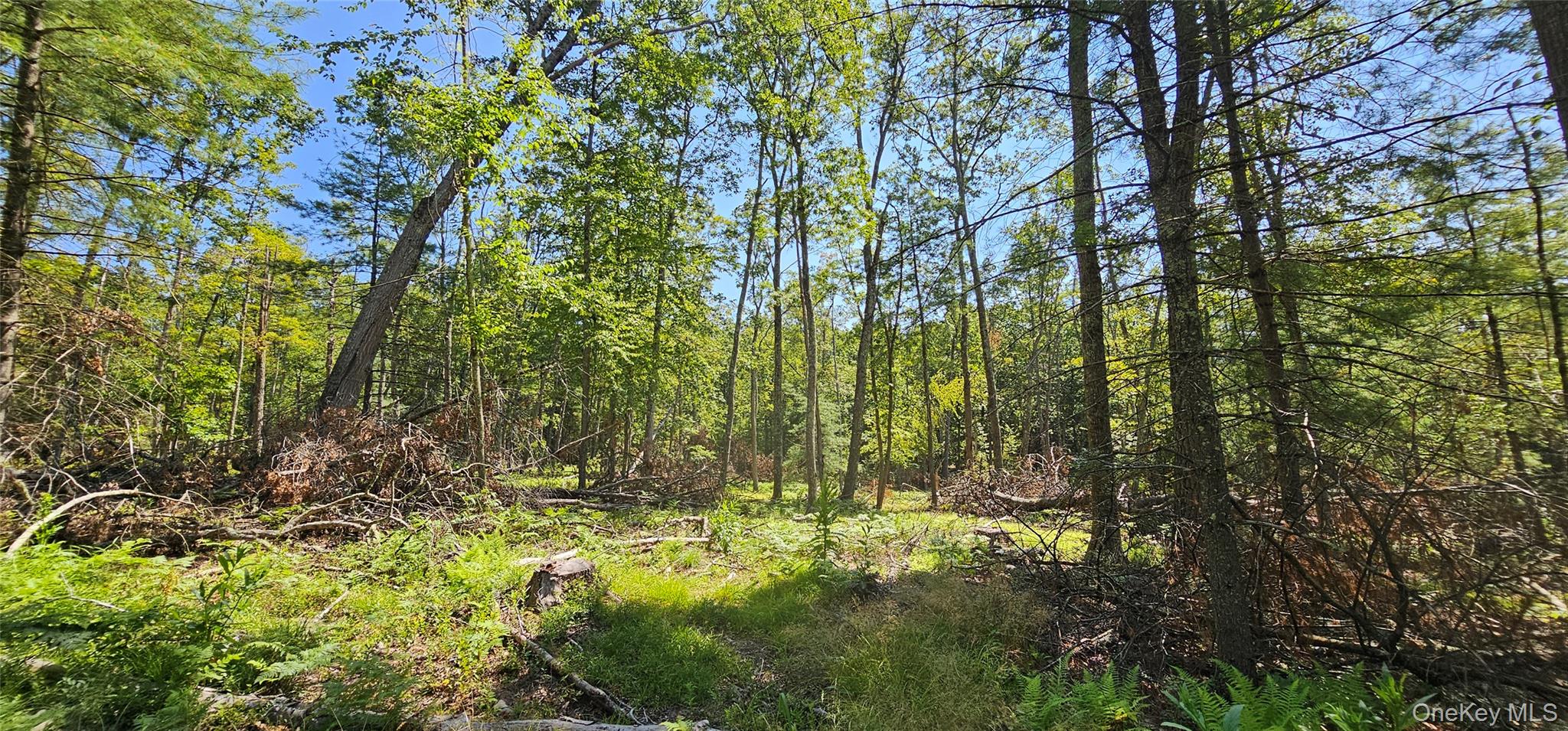 Lot 8.1 Eckes Road, Narrowsburg, NY 12764