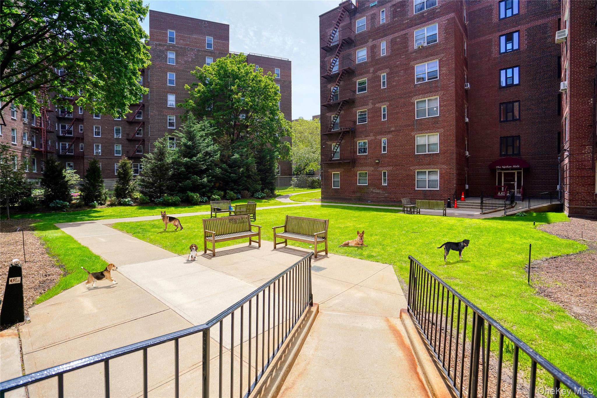 113-14 72nd Road # 1J, Forest Hills, NY 11375