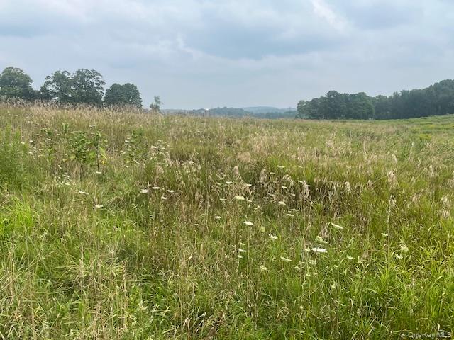 1820 County Route 7, Ancram, NY 12502