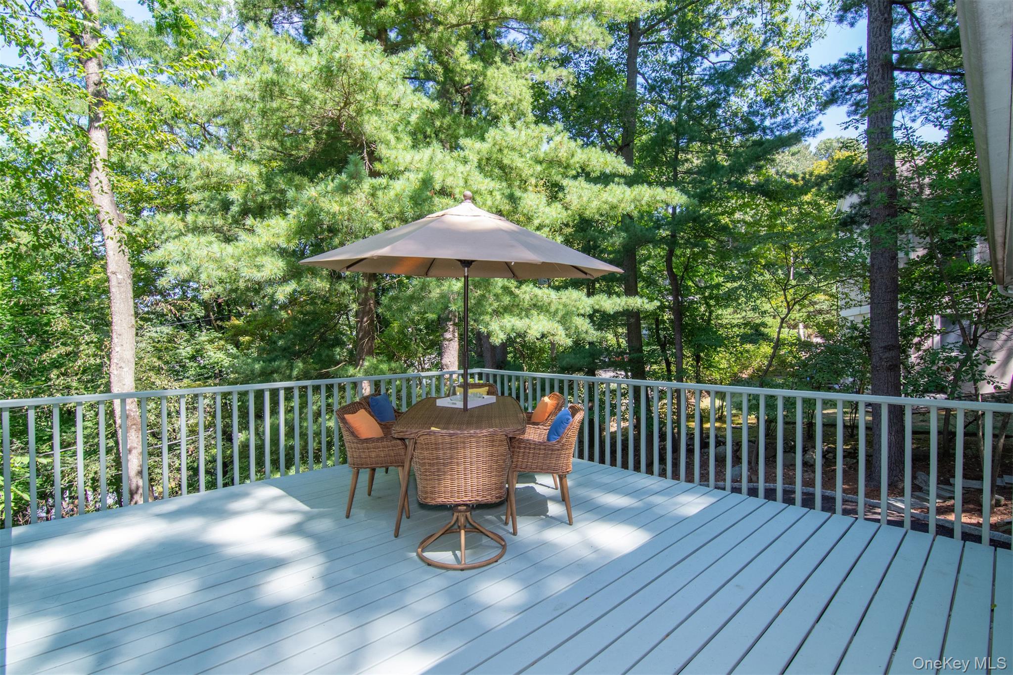 70 Deertrack Lane, Irvington, NY 10533