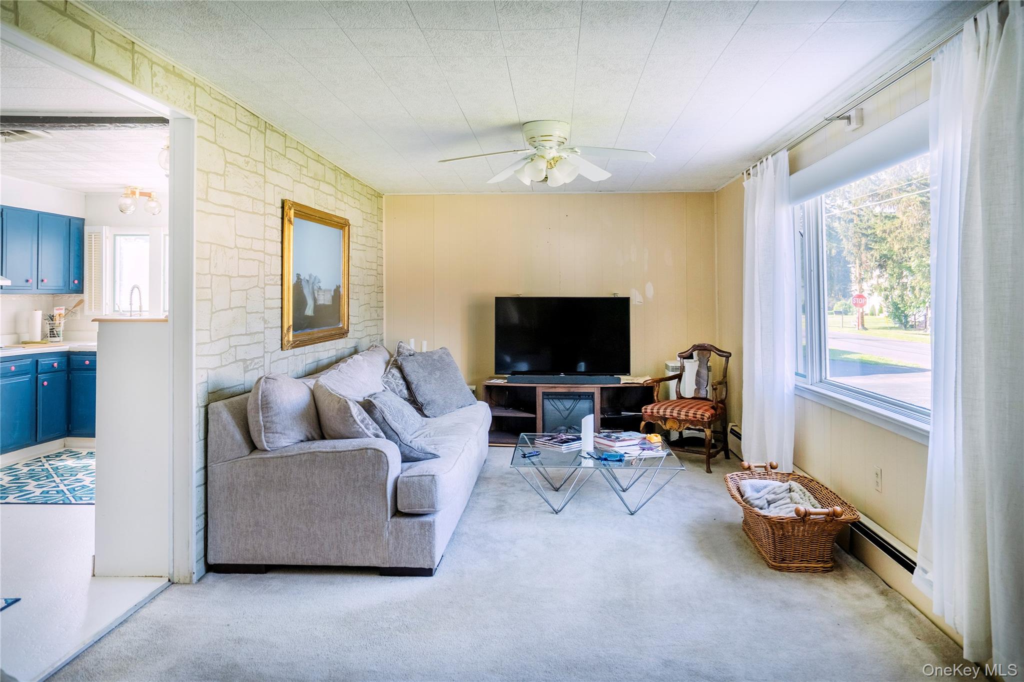 101 Hinsdale Street, Kingston, NY 12401