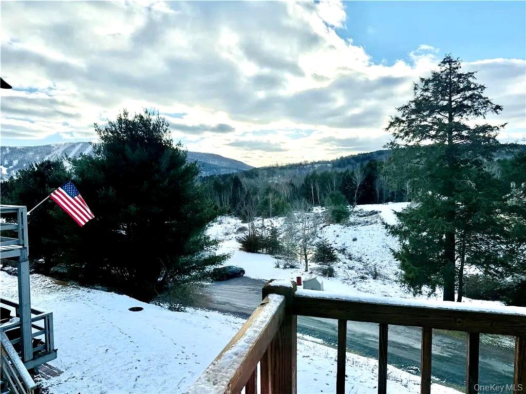 79 Windham Ridge Road # 17A, Windham, NY 12496