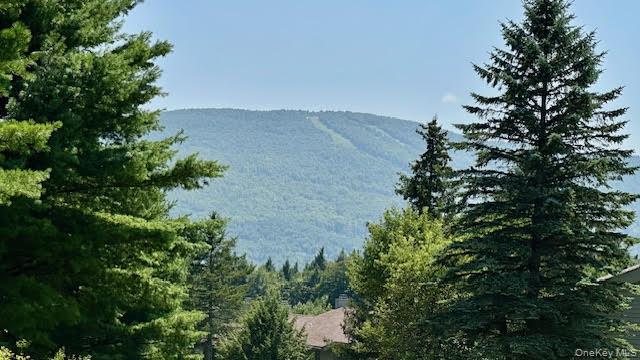 79 Windham Ridge Road # 17A, Windham, NY 12496