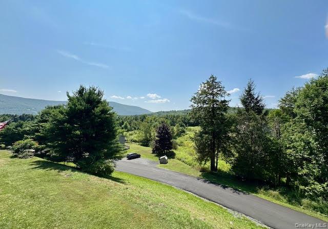 79 Windham Ridge Road # 17A, Windham, NY 12496