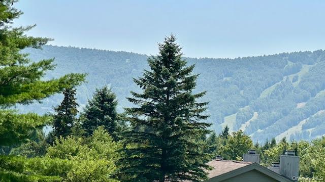 79 Windham Ridge Road # 17A, Windham, NY 12496