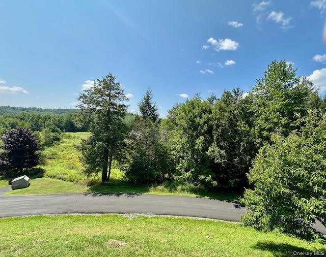 79 Windham Ridge Road # 17A, Windham, NY 12496